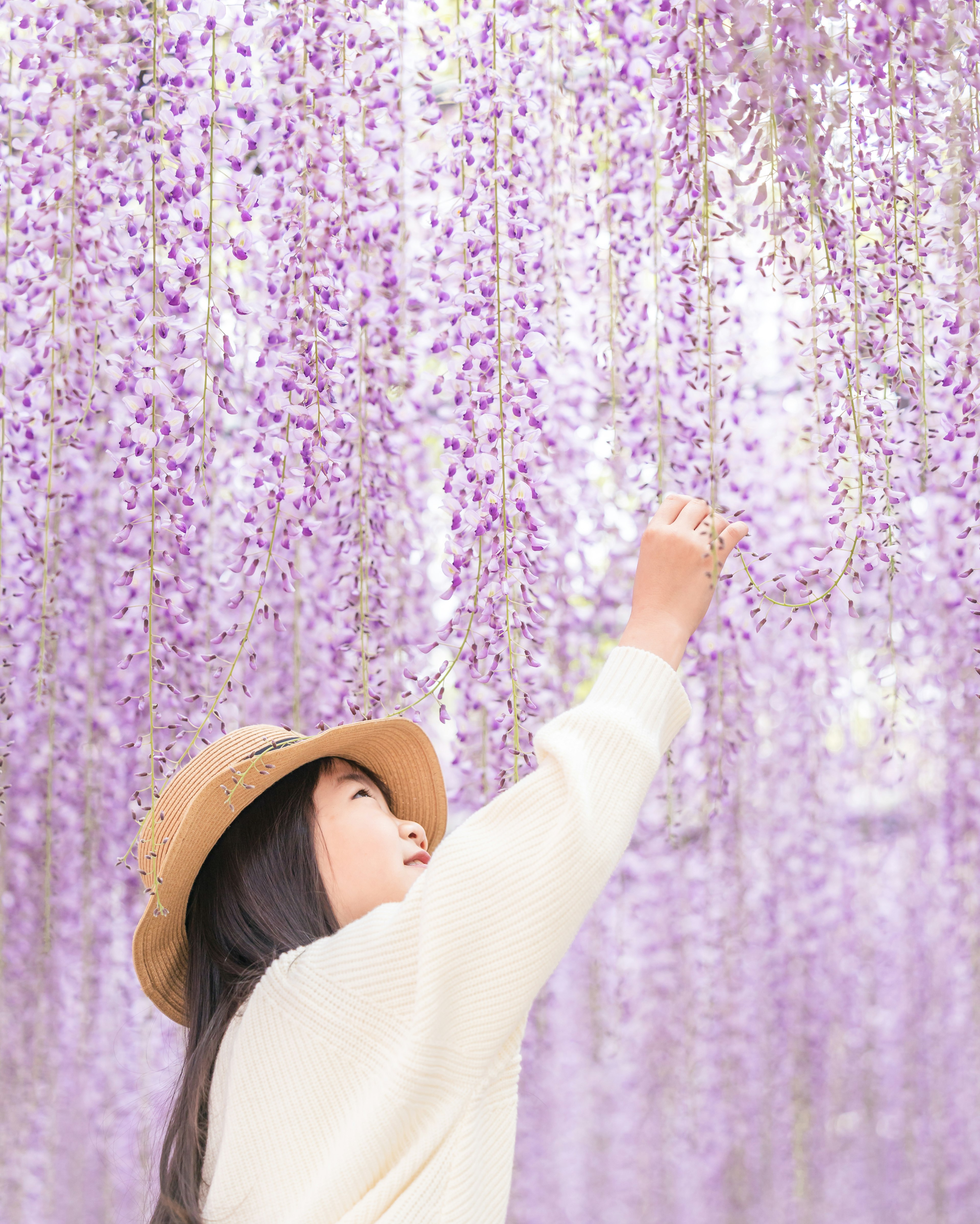 紫色の花が咲く背景で手を伸ばす女性の横顔