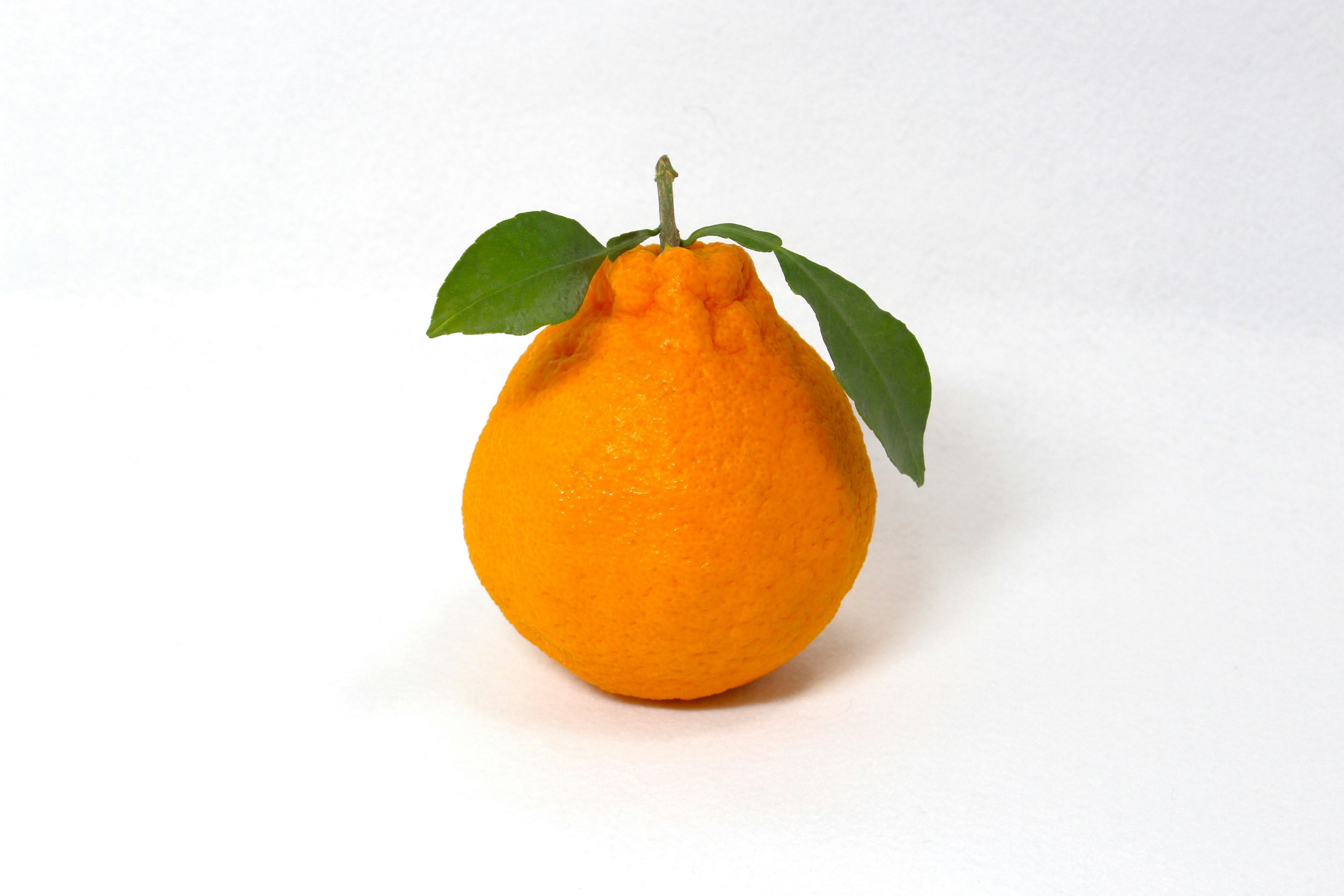 A round orange fruit with green leaves on top