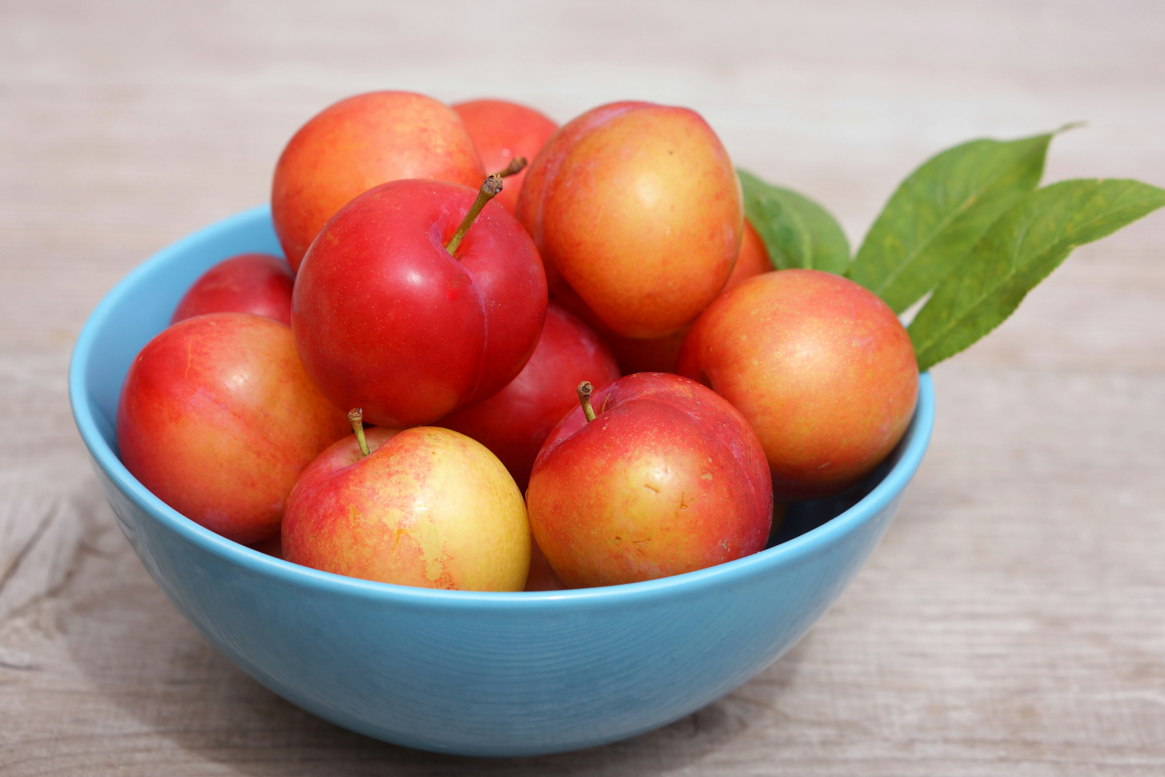 Colorful apples in a blue bowl