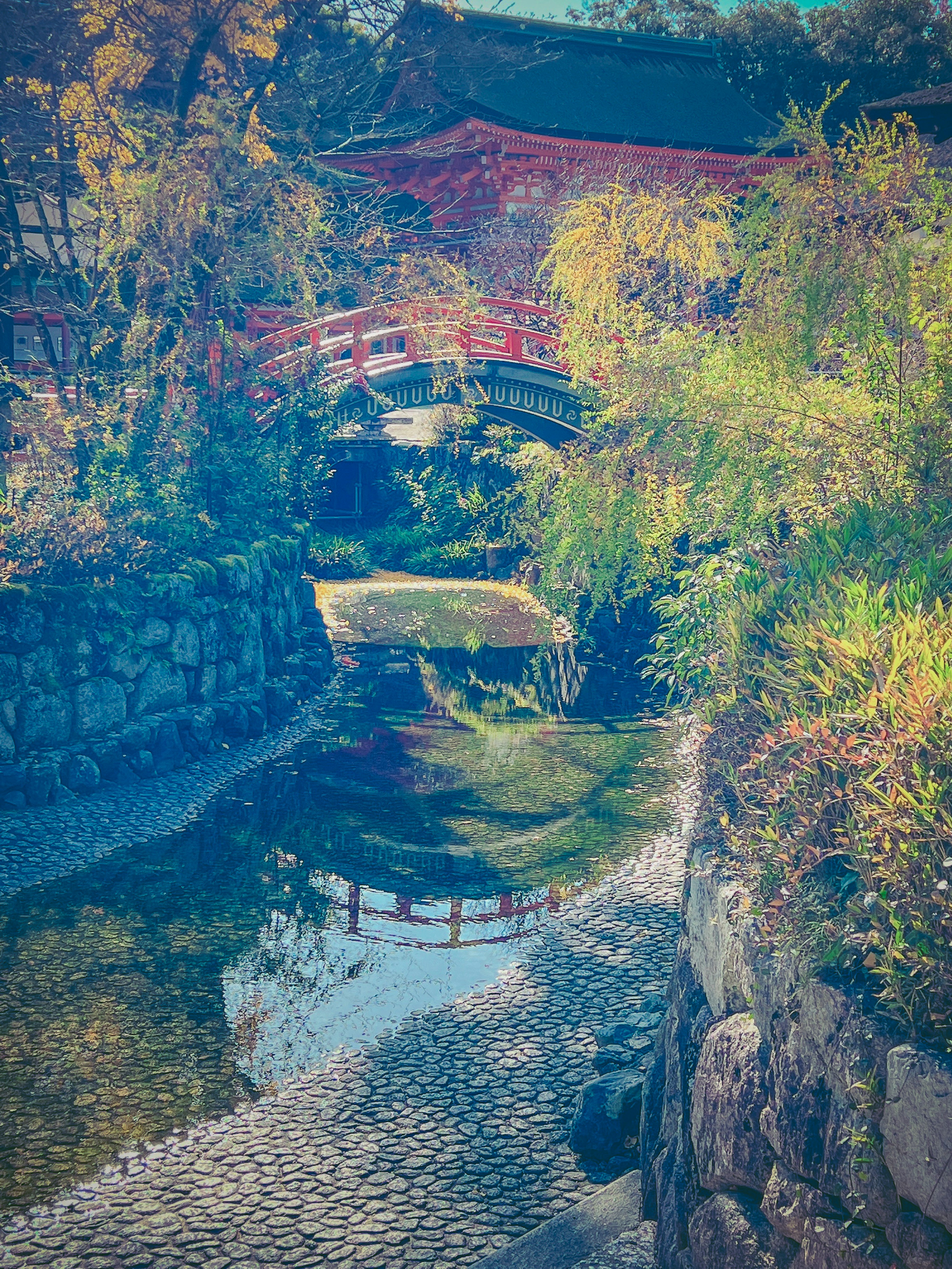 Vue pittoresque d'un jardin japonais avec un pont et le reflet de l'eau entouré de plantes colorées