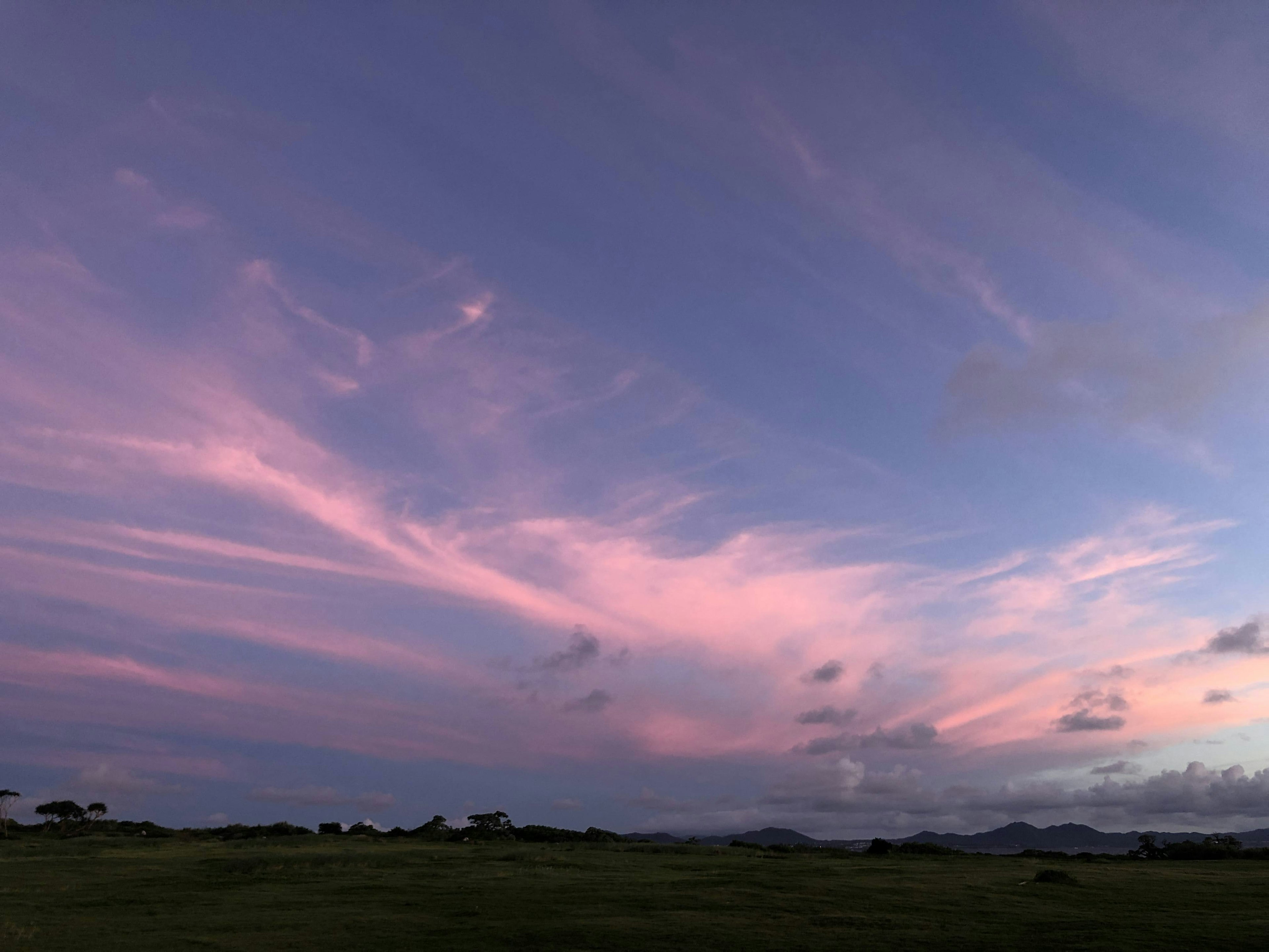 Nuages roses doux contre un ciel bleu au coucher du soleil