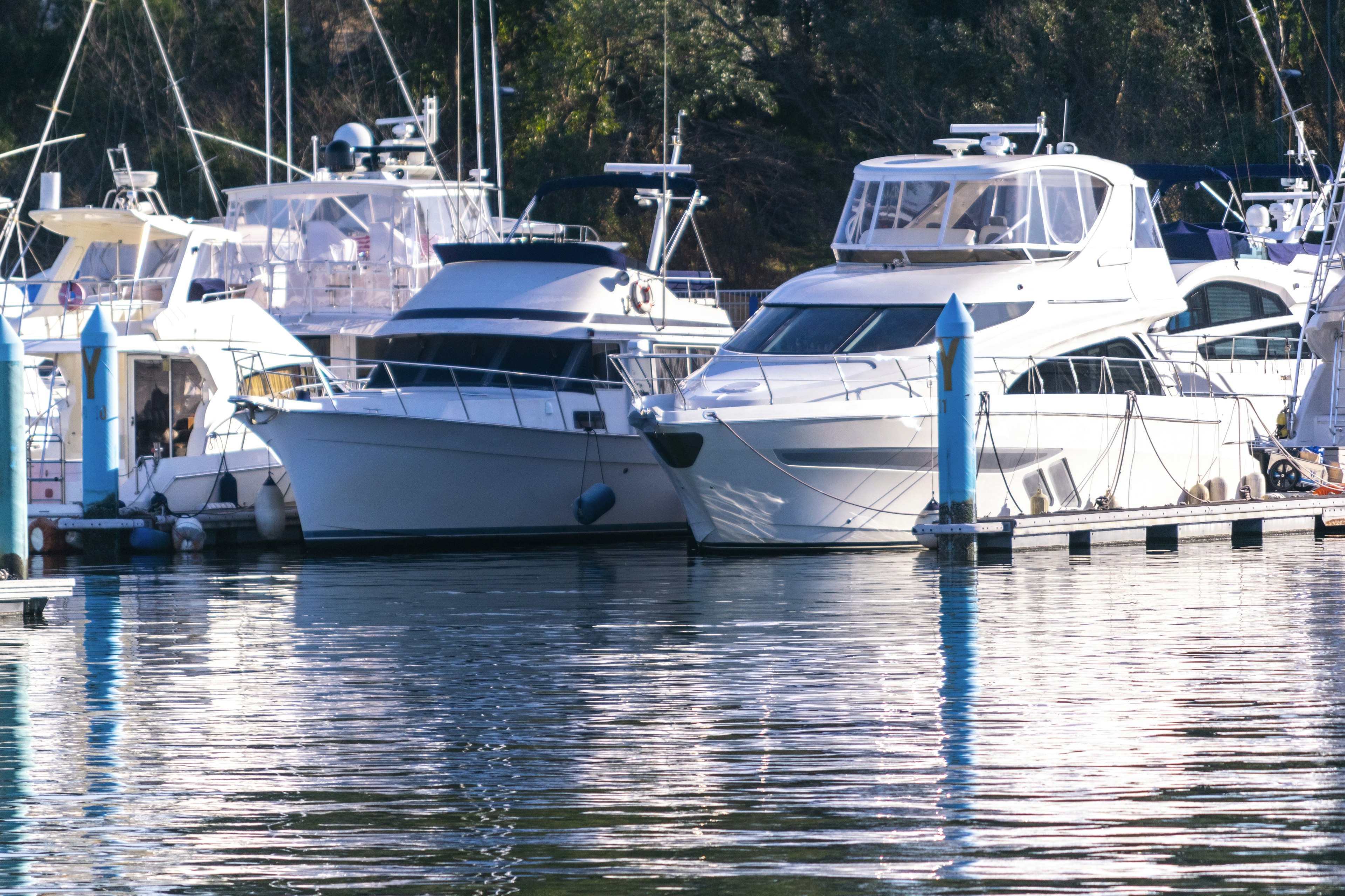 Groupe de bateaux blancs amarrés dans une marina tranquille