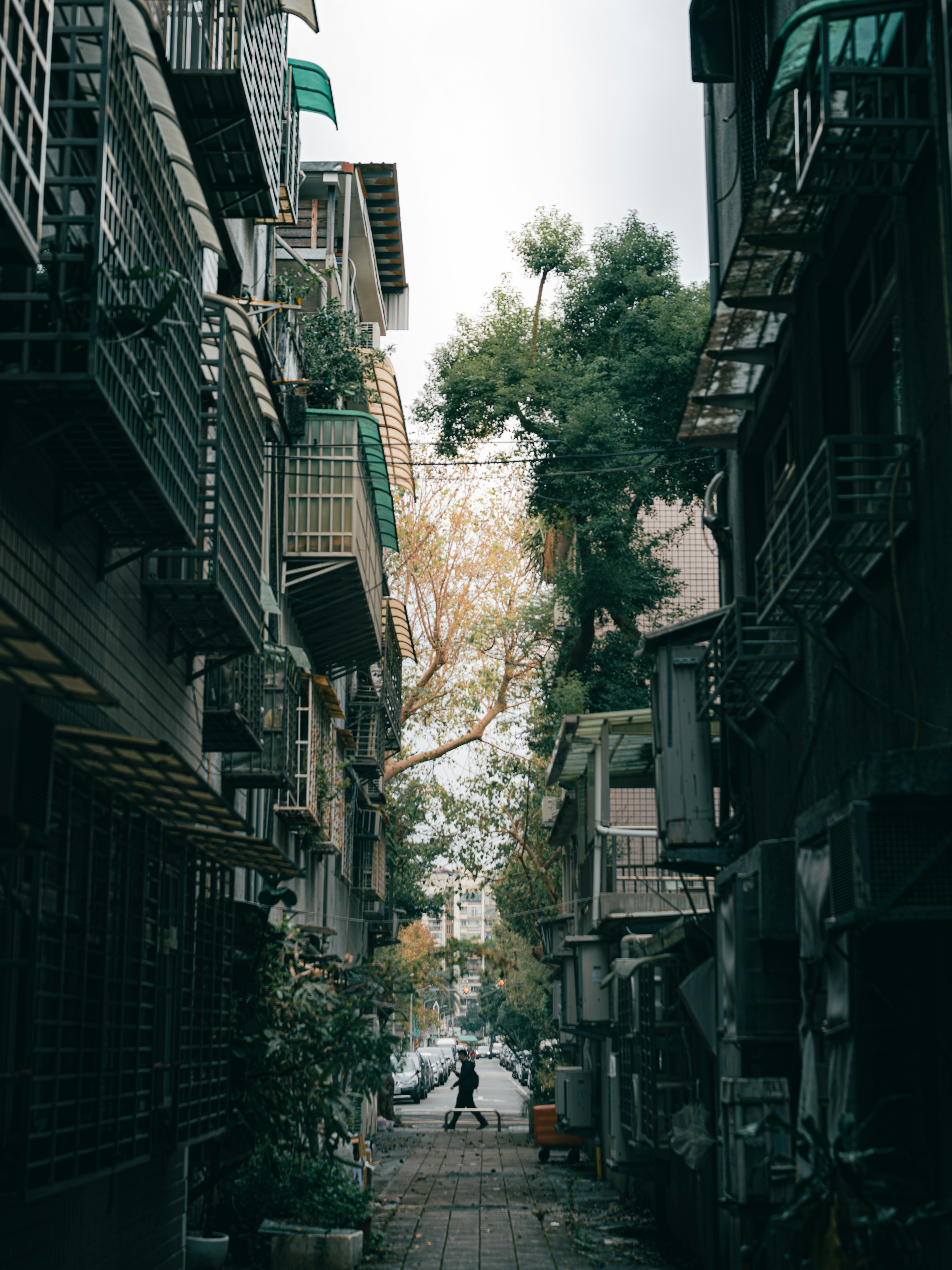 Narrow alleyway with a person standing and green trees