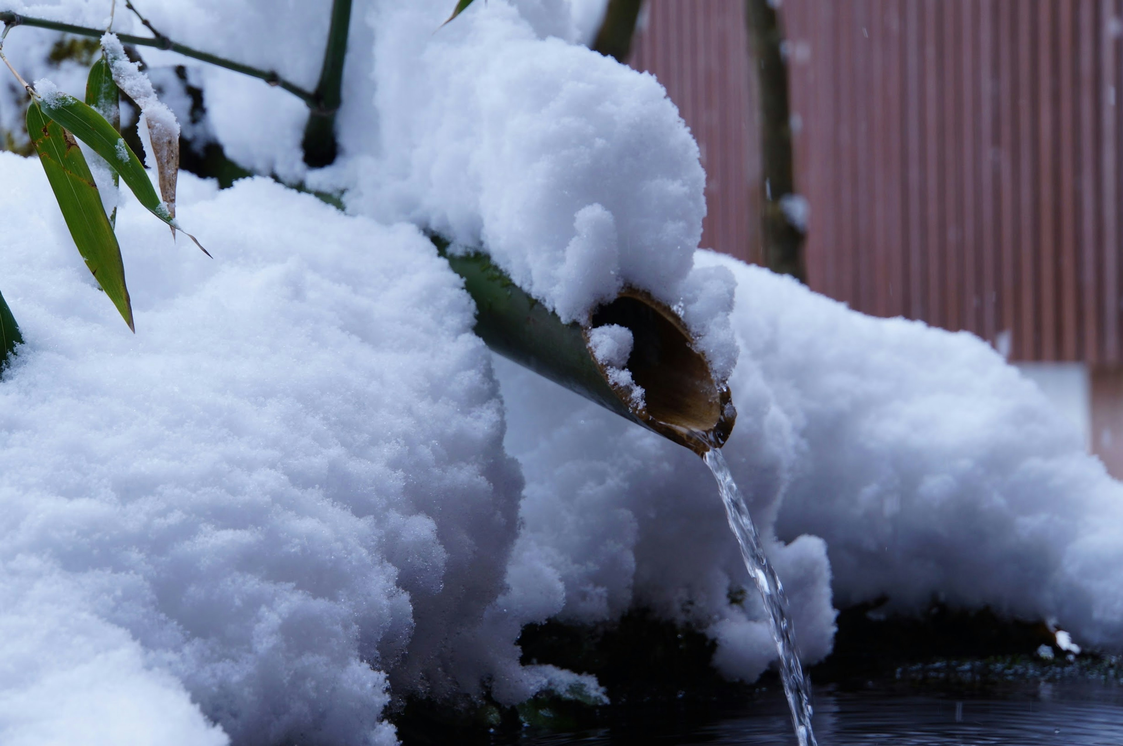 Un tuyau en bambou entouré de neige et d'eau qui coule