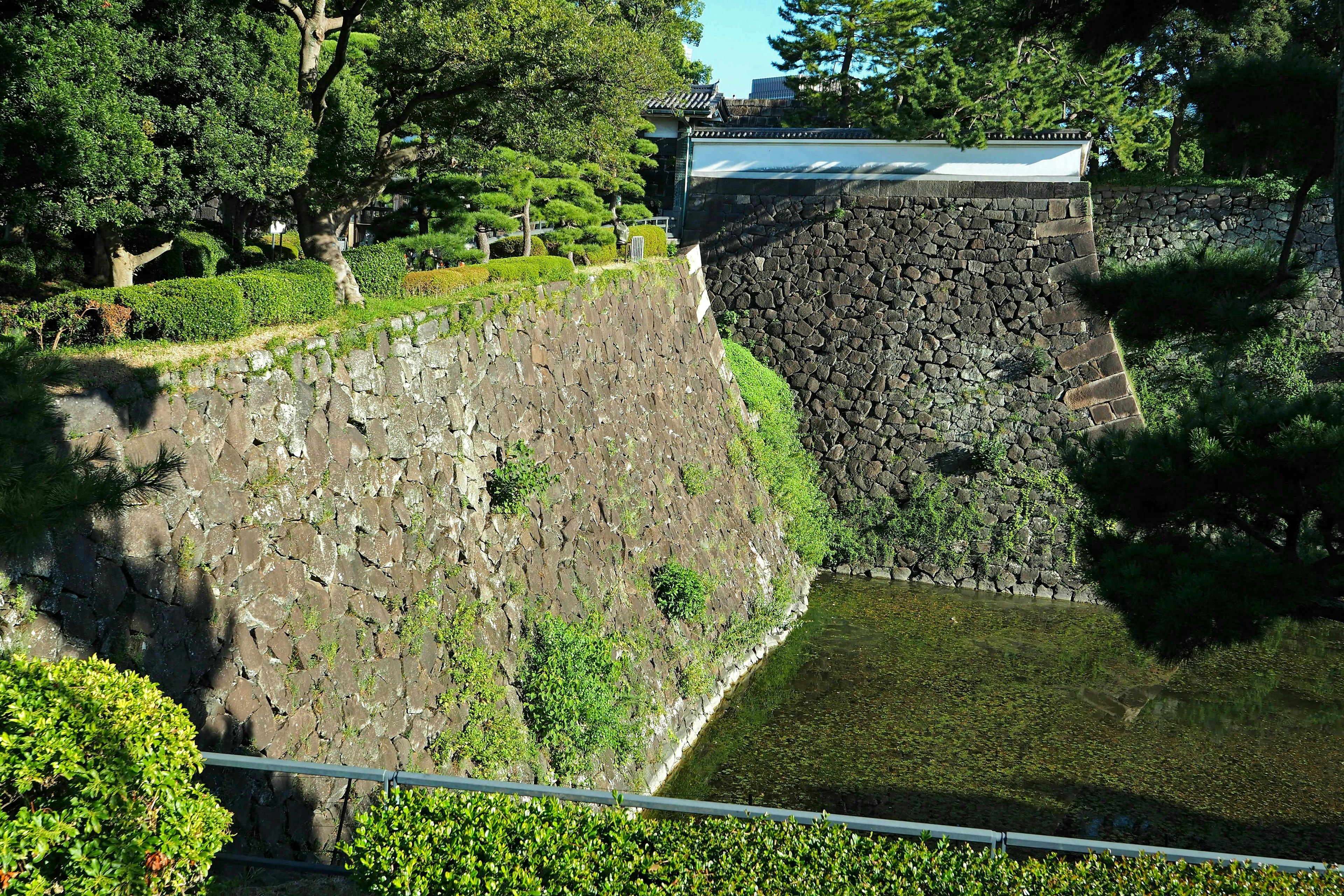 Muro di castello in pietra con paesaggio di giardino lussureggiante