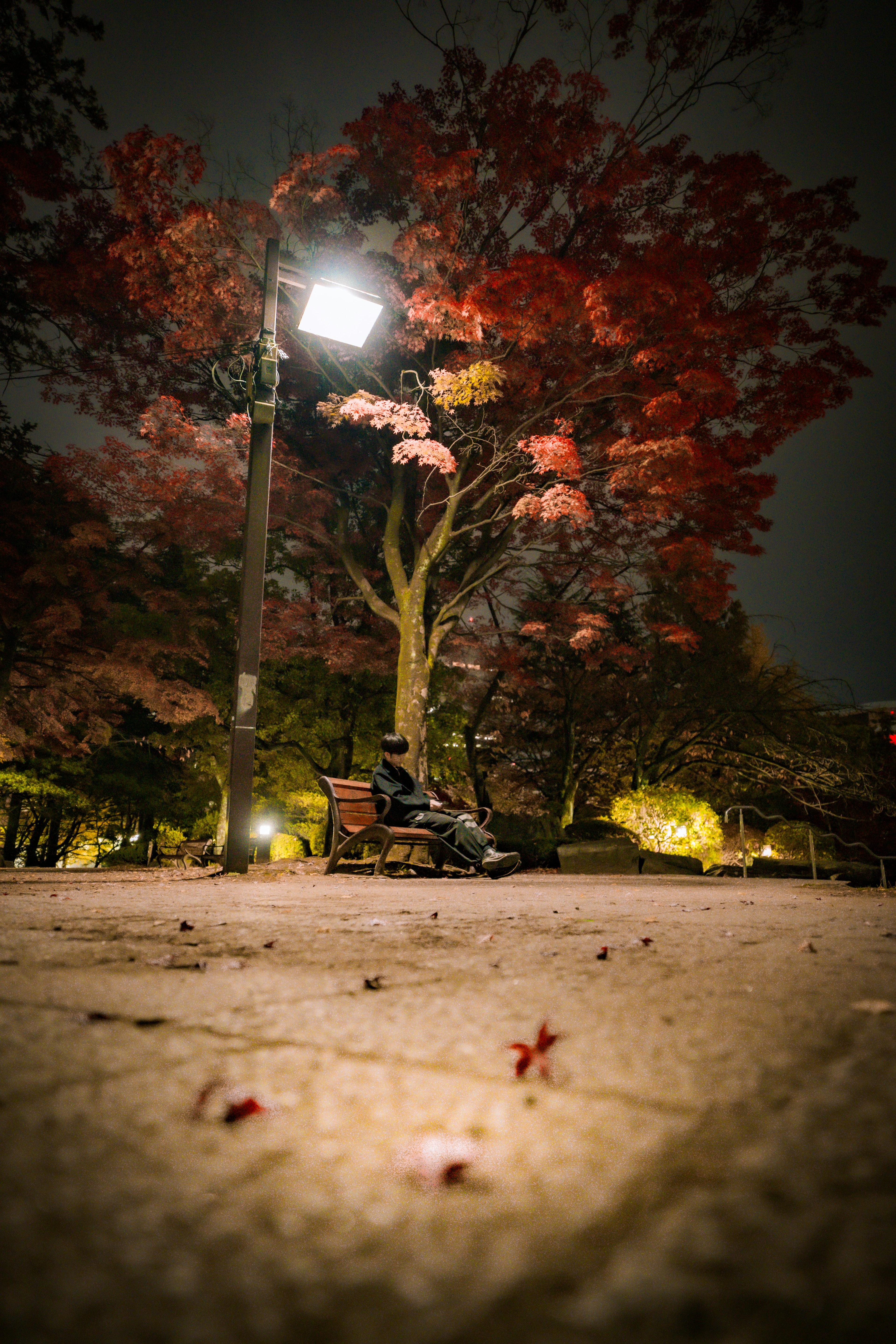 photo-6OAWCBxeff6CuzbWL37b-image
