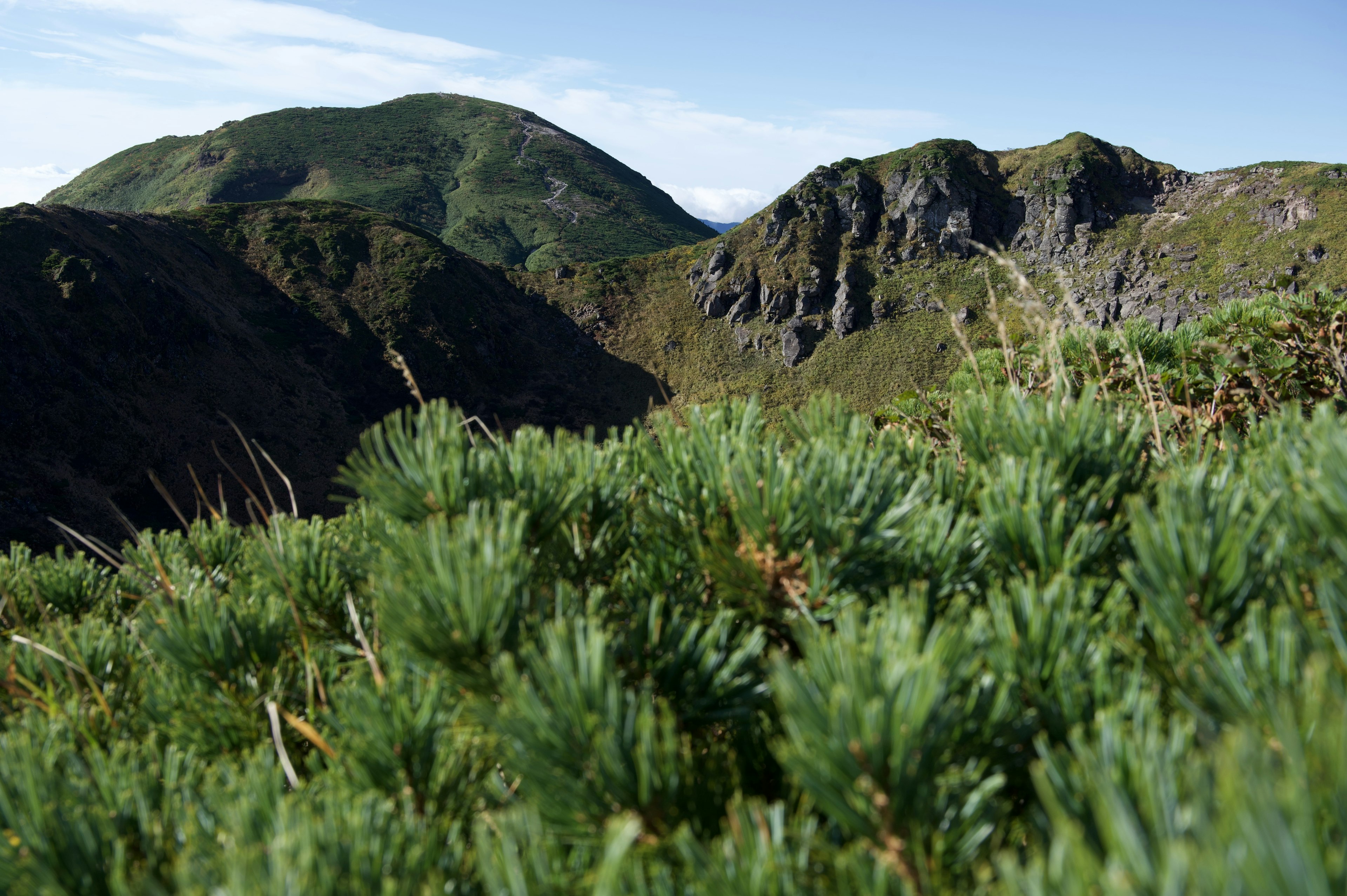 緑豊かな植物が前景にあり、遠くに山々が見える風景