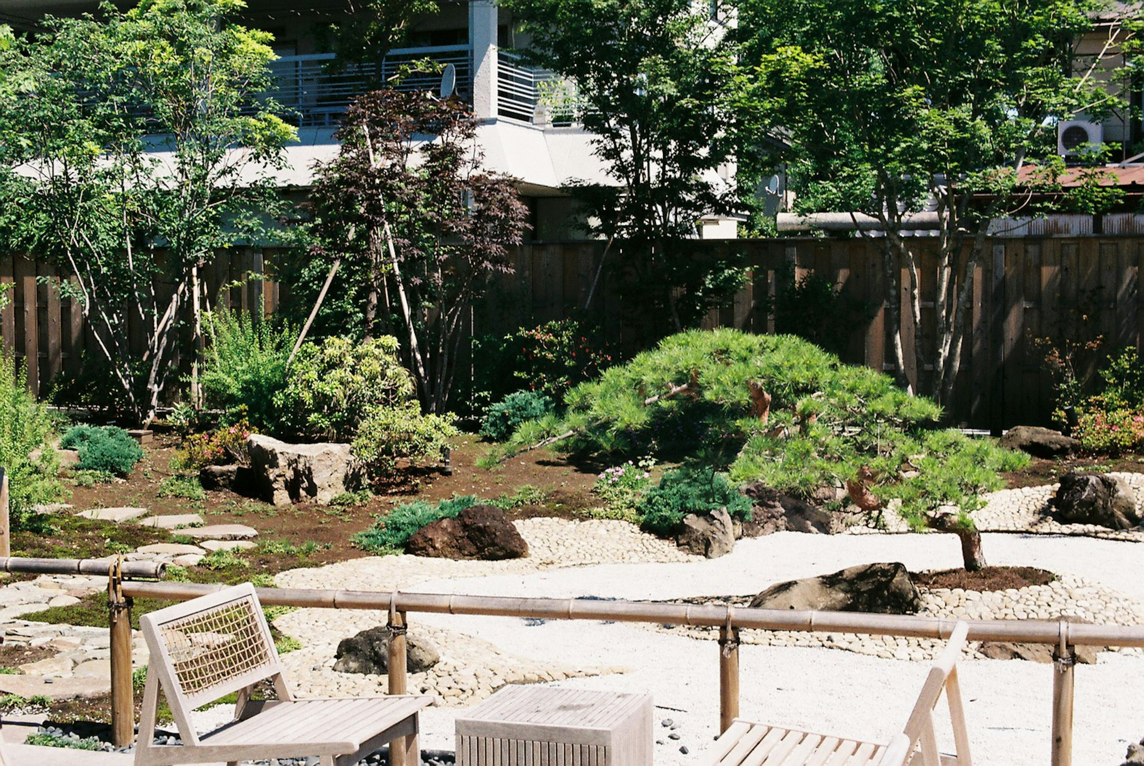 庭園の景色に緑豊かな植物と白い砂利のエリアが見える