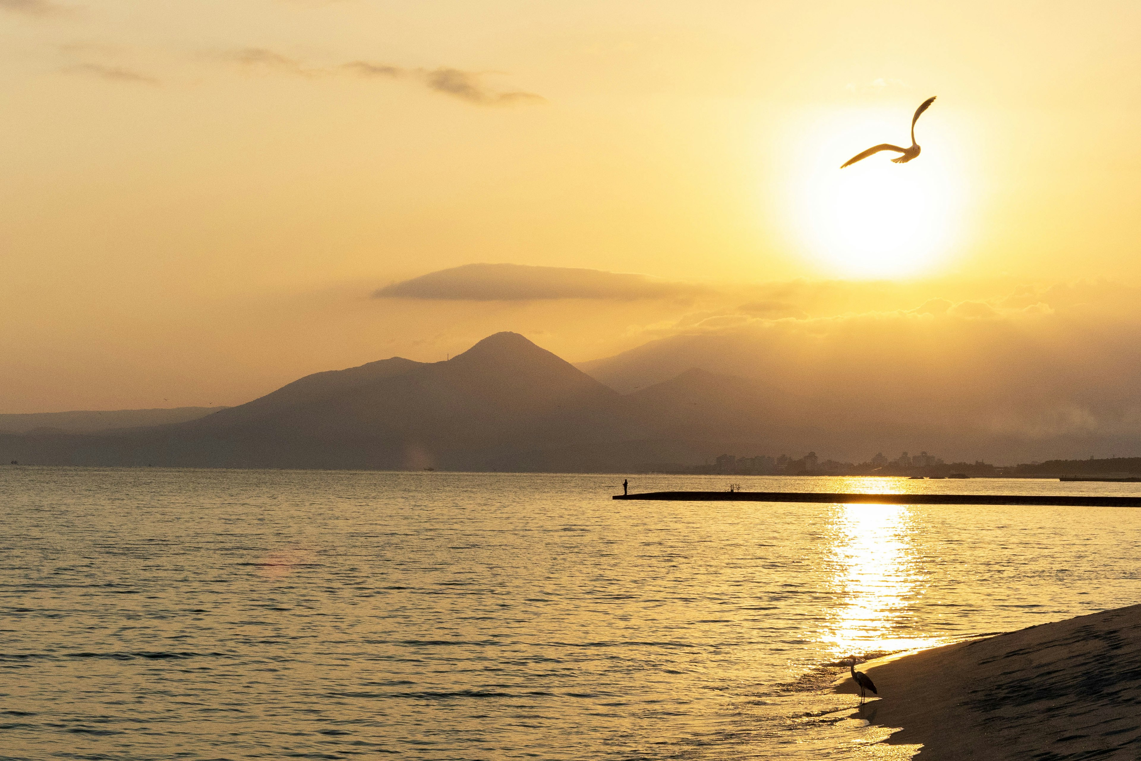 夕日が海に沈む美しい風景 鳥が空を飛ぶ 霧がかかった山々