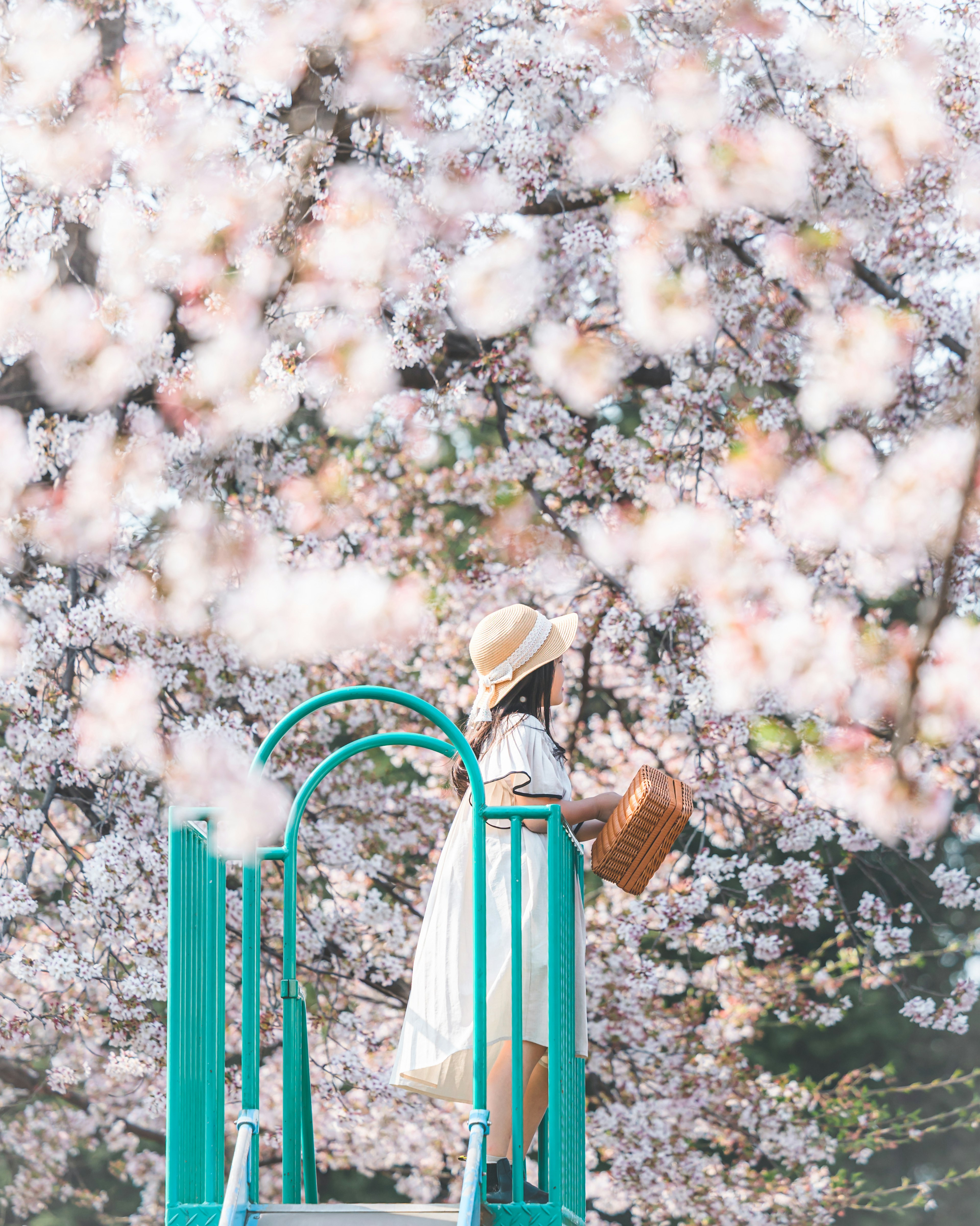 桜の木の前に立つ女性と遊具の青い滑り台