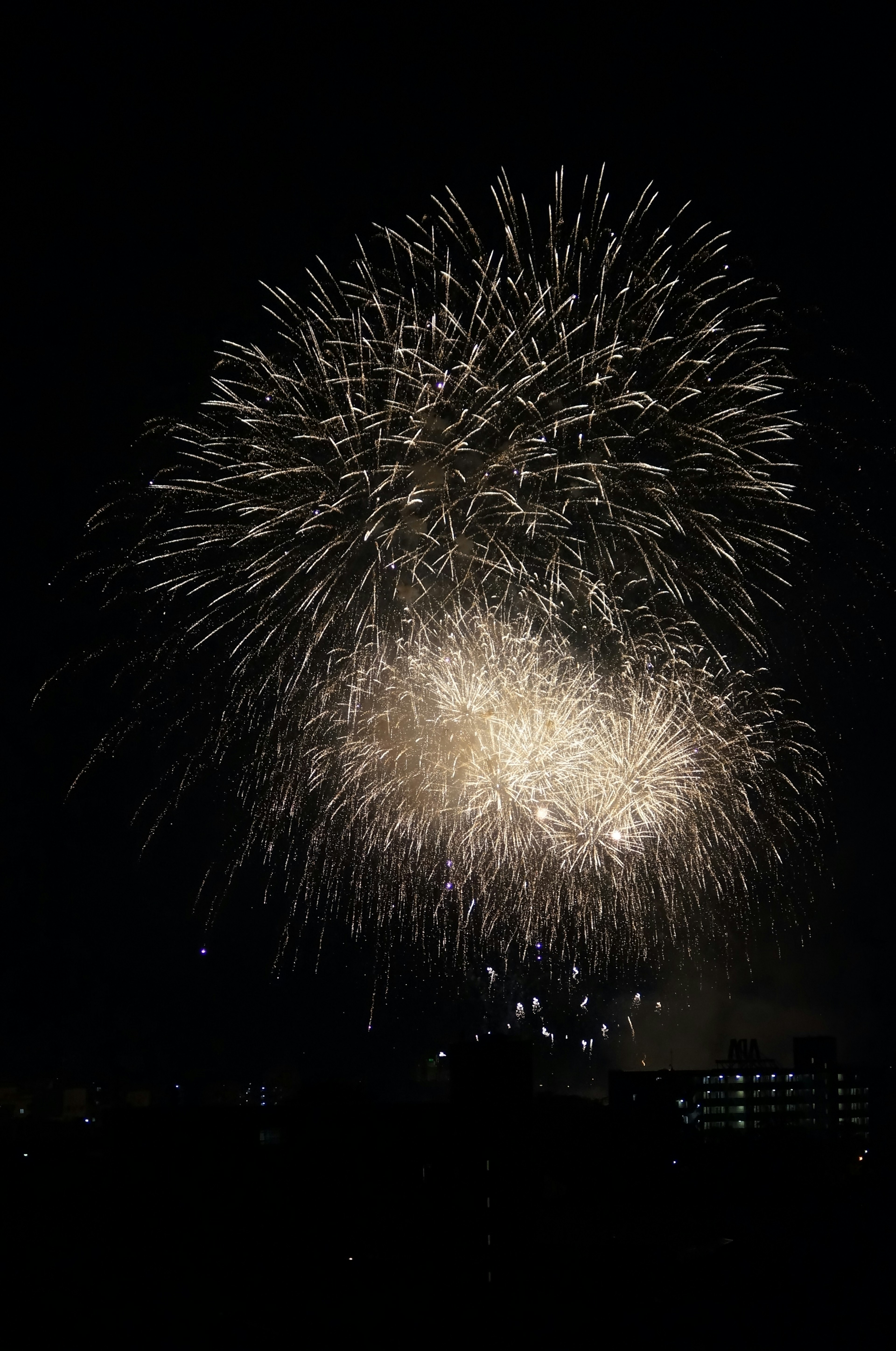 Splendido spettacolo di fuochi d'artificio che illumina il cielo notturno