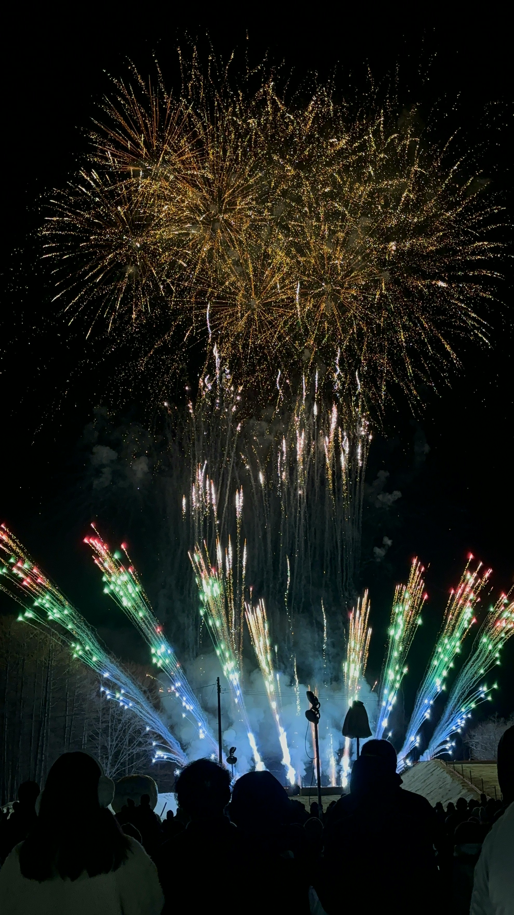 Fuochi d'artificio colorati che esplodono nel cielo notturno con silhouette di spettatori