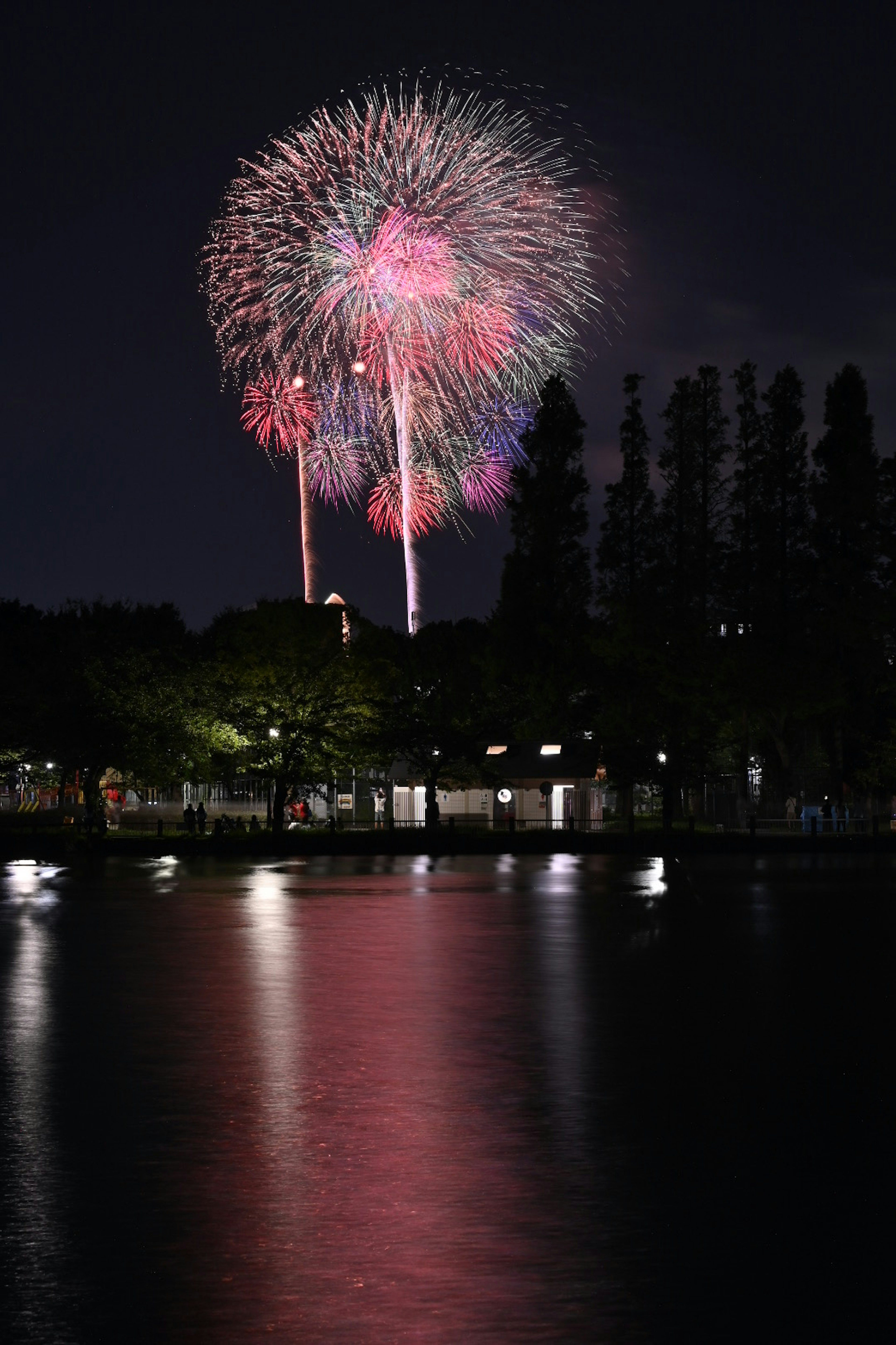 Beautiful fireworks display in the night sky colorful reflections on the water