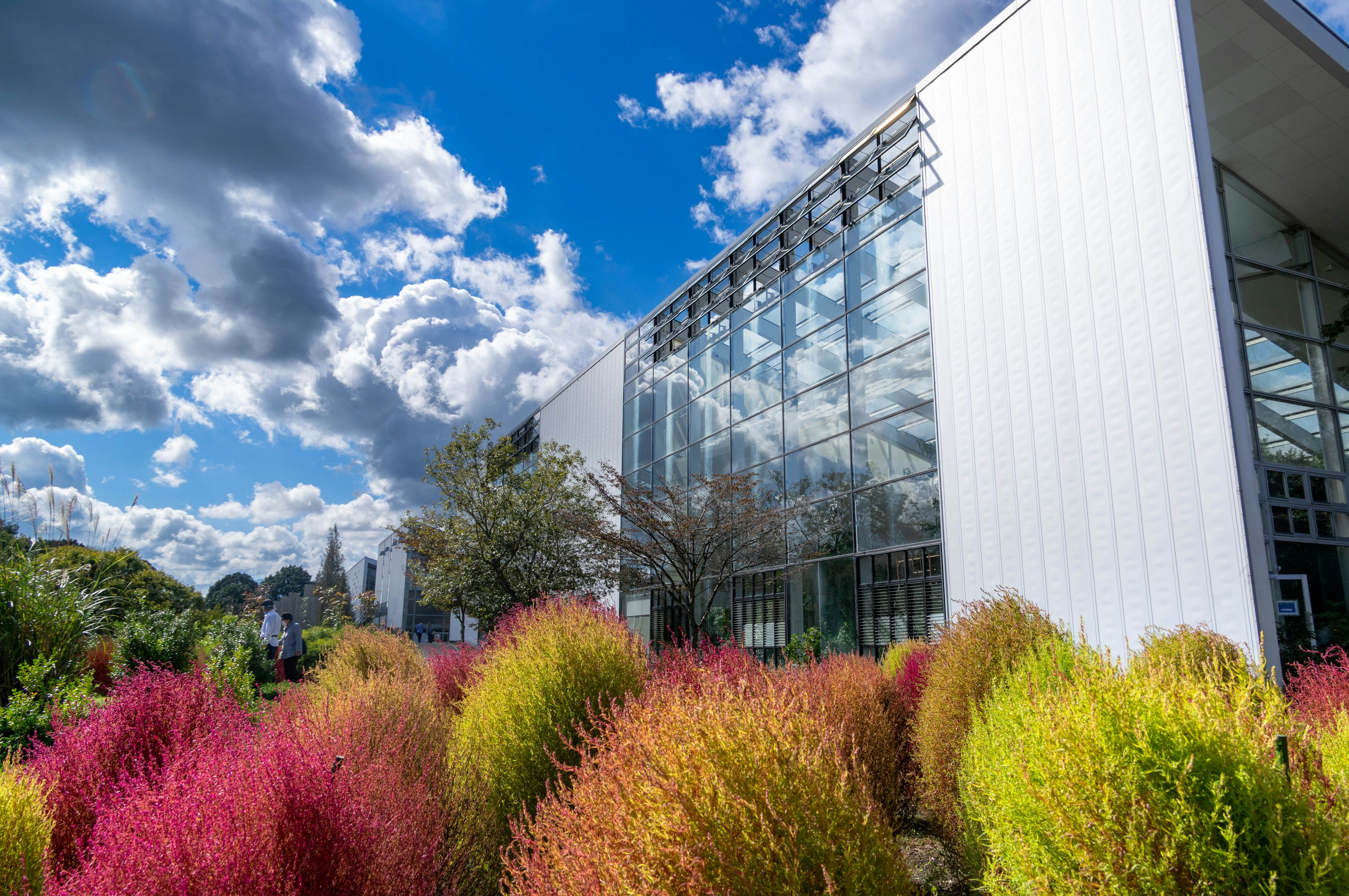 Bâtiment moderne blanc avec des plantes colorées dans le jardin