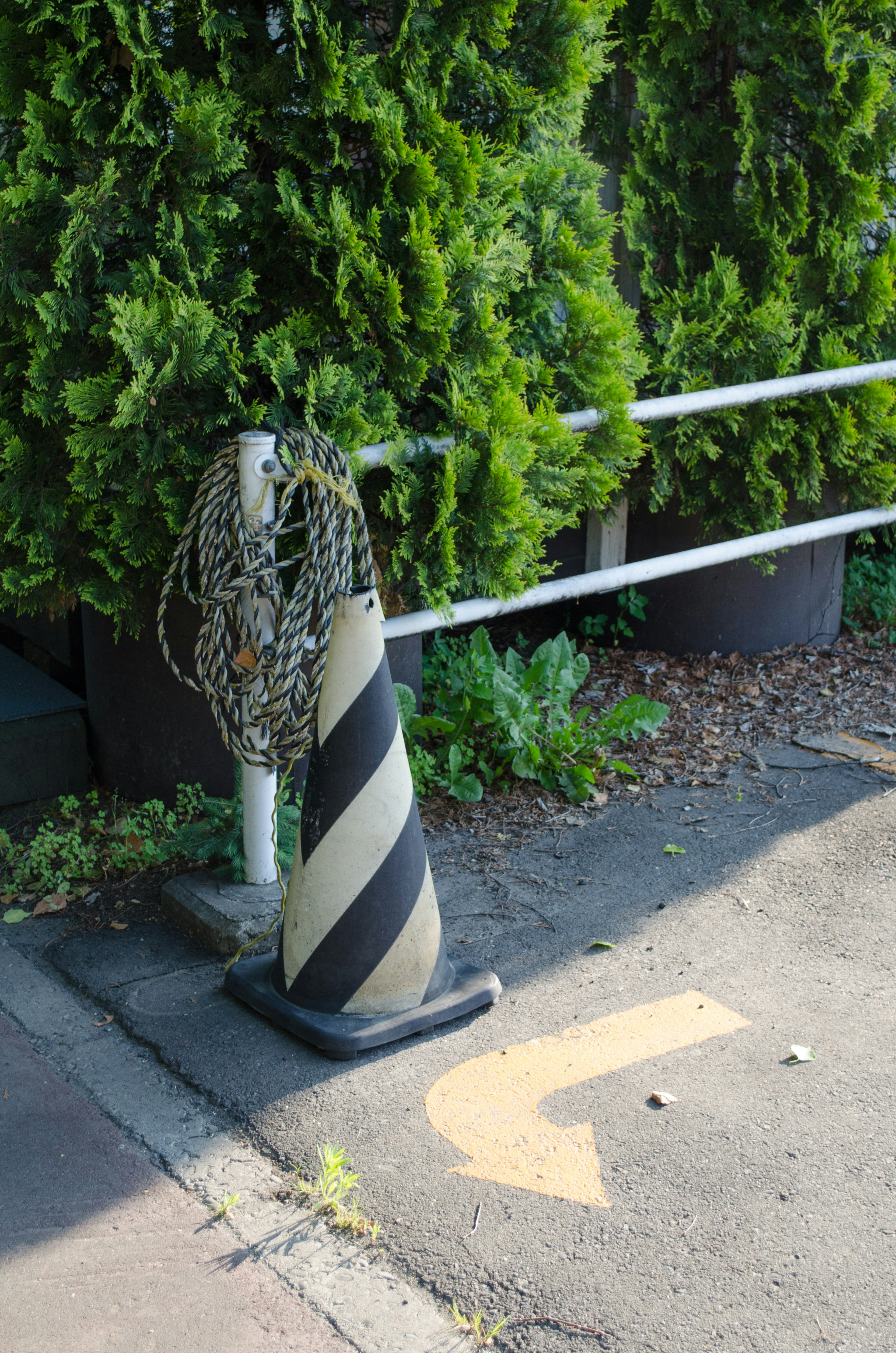 Black and white striped cone standing near green bushes