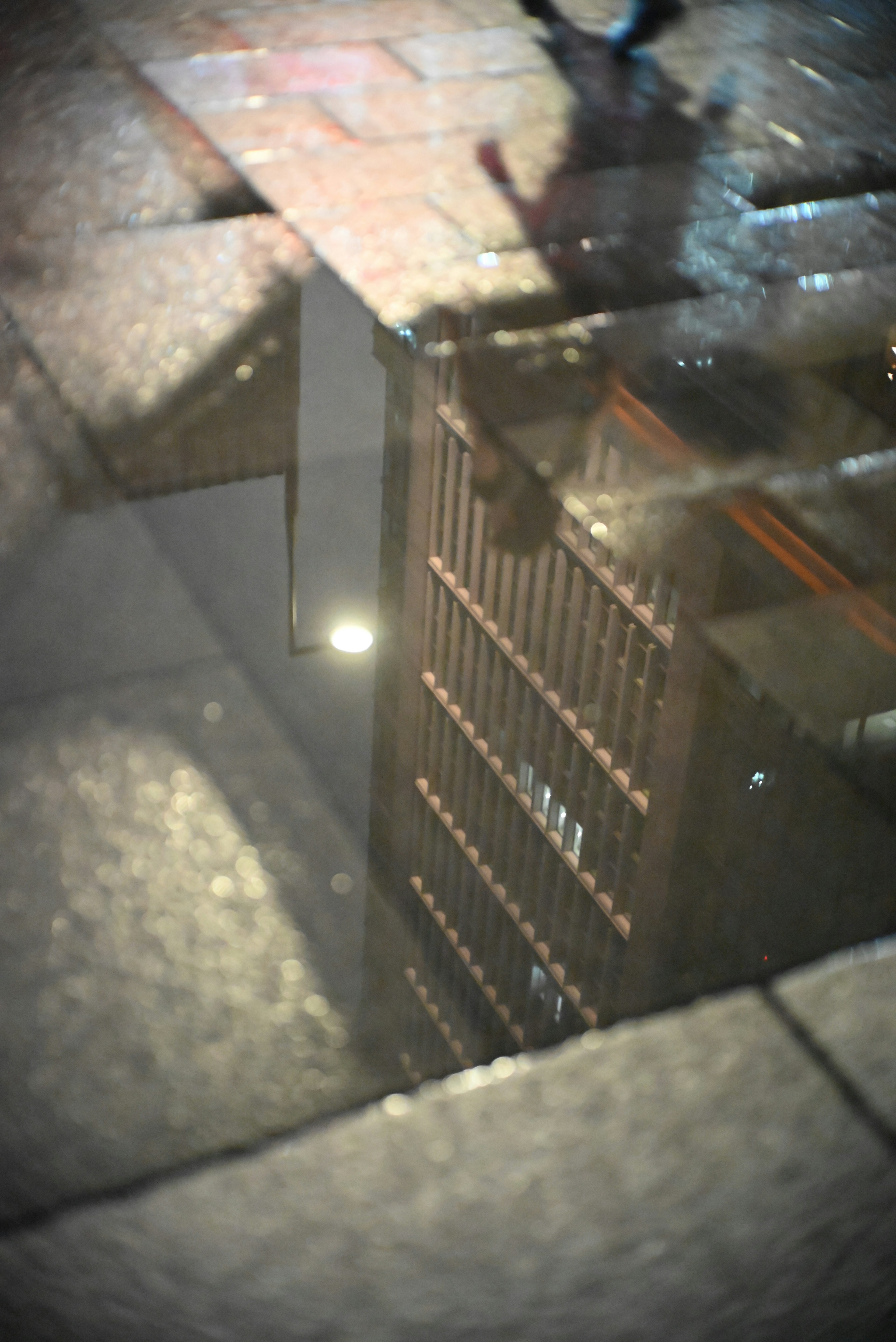 Reflexion eines Gebäudes in einer Pfütze auf einer Stadtstraße bei Nacht