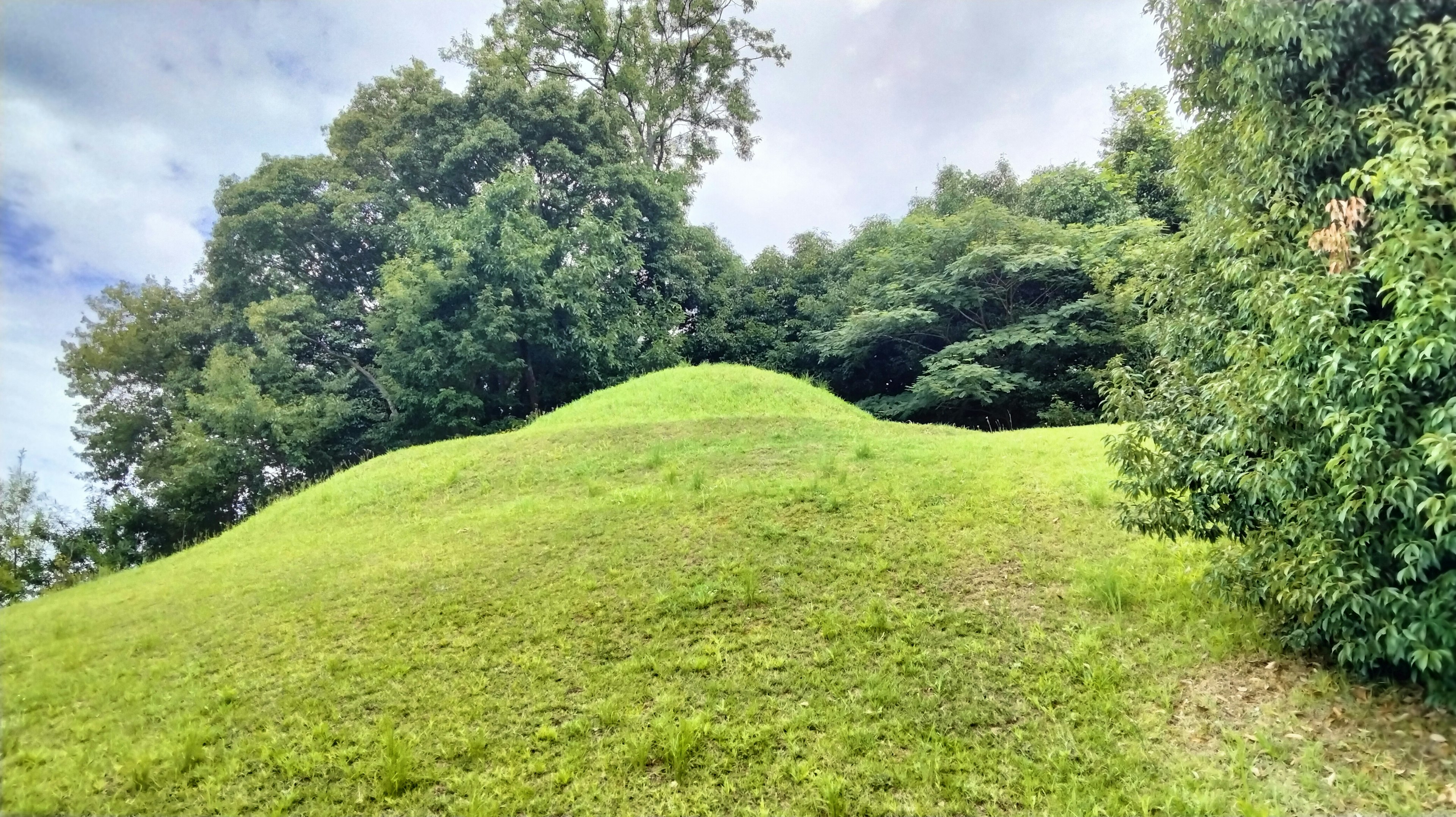 Small grassy hill surrounded by trees and cloudy sky