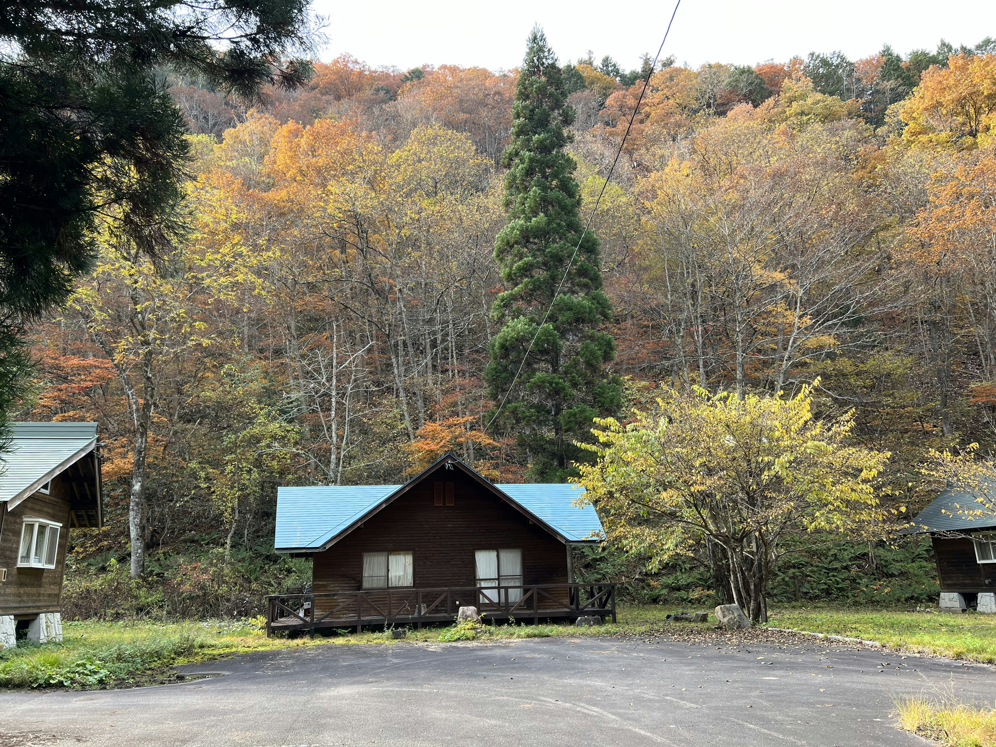 Cabins surrounded by autumn foliage and trees