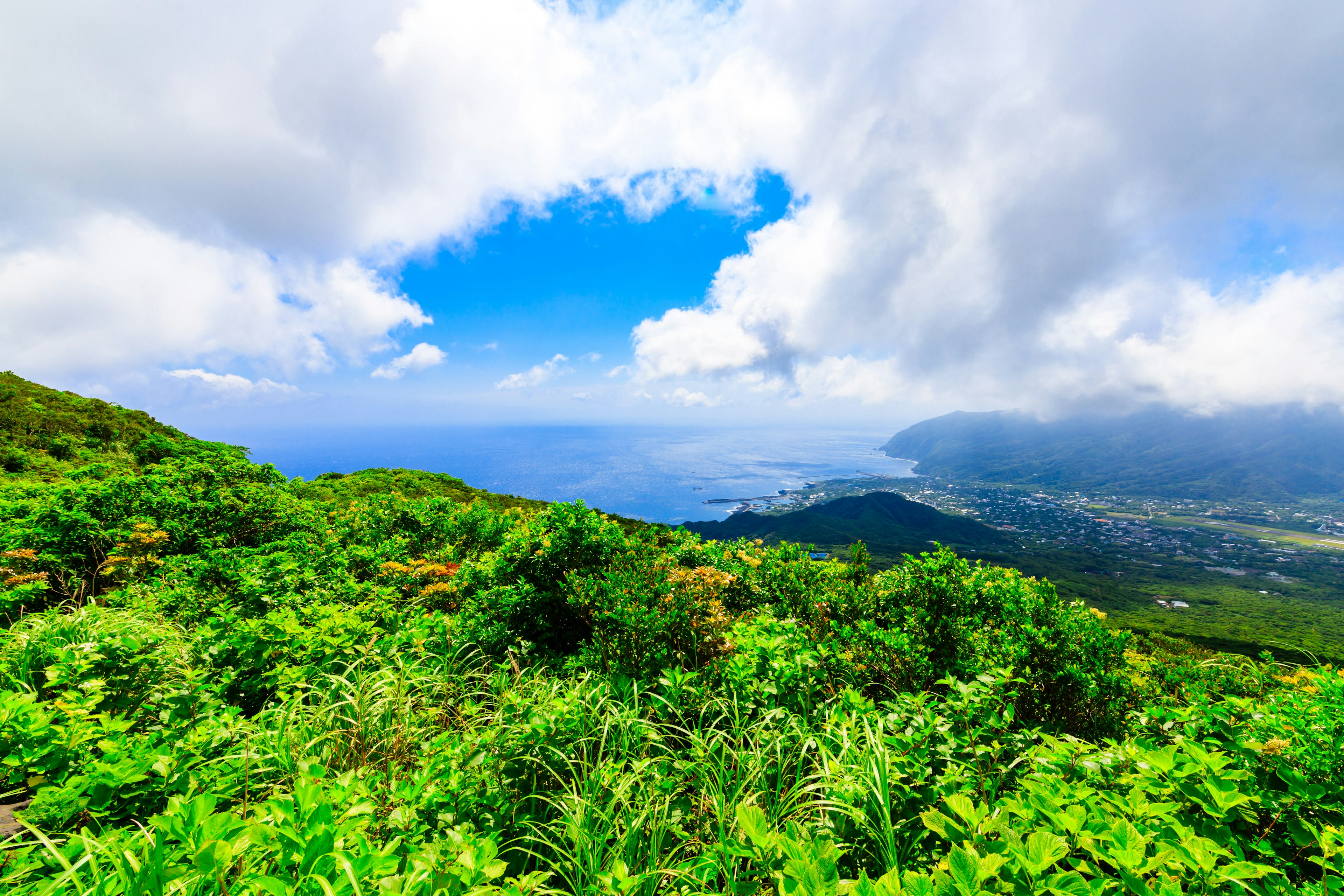 Lush green landscape with blue sky and clouds over the ocean