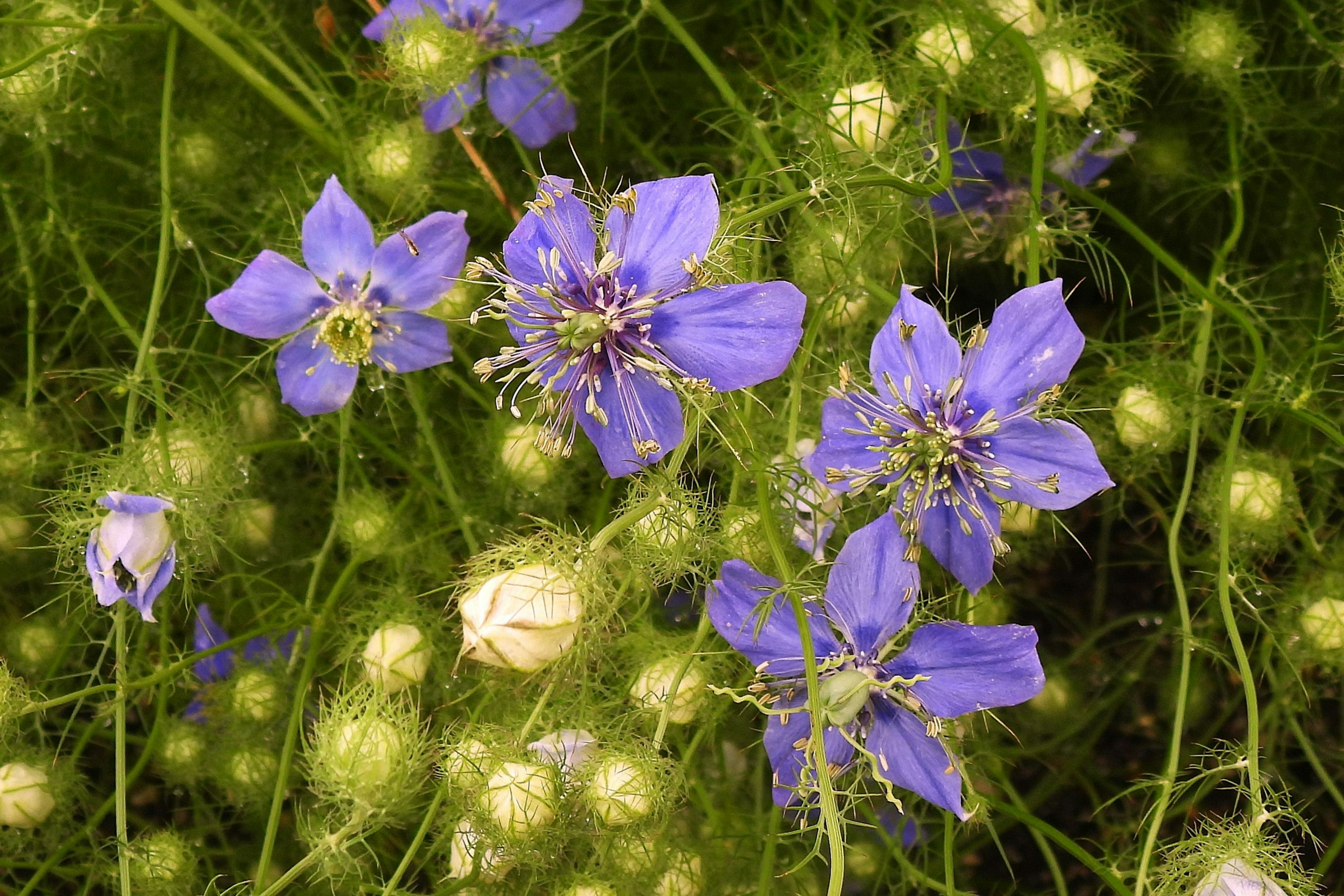 photo-6RZoPPn2kS3AcwNUgqH6-image