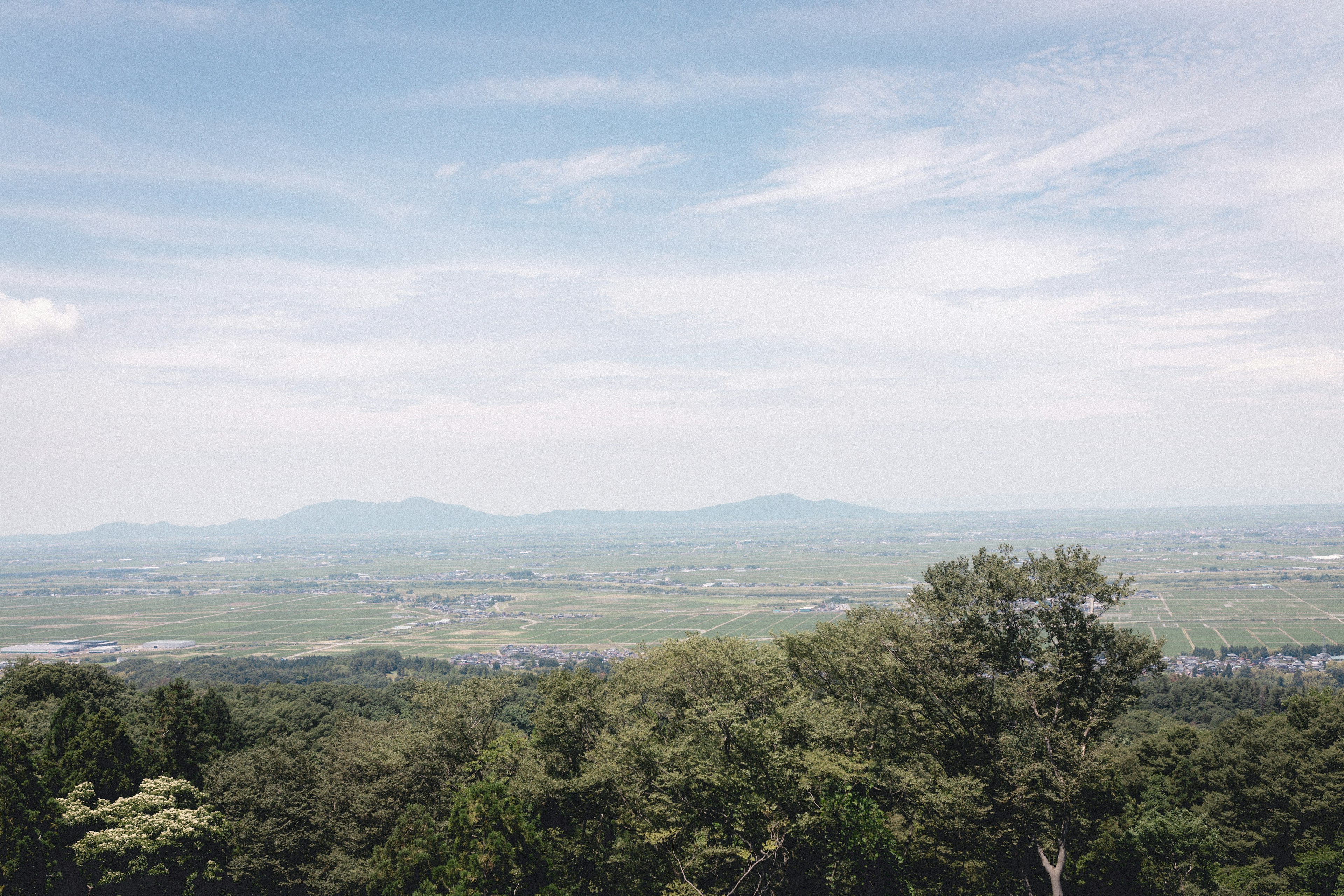 Scenic view featuring a blue sky with clouds green trees in the foreground and distant mountains