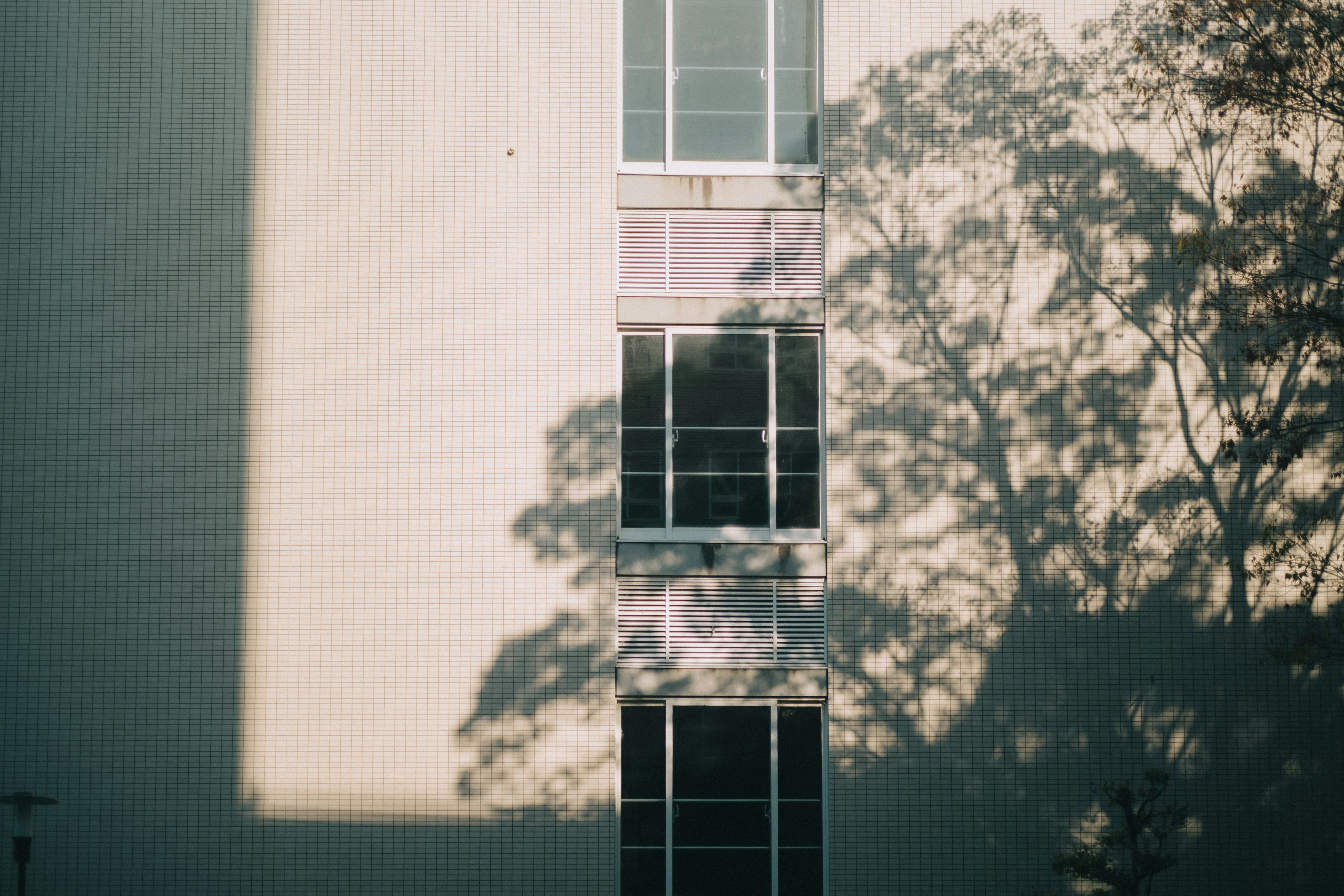 Fachada de edificio con reflejos de ventanas y sombras de árboles