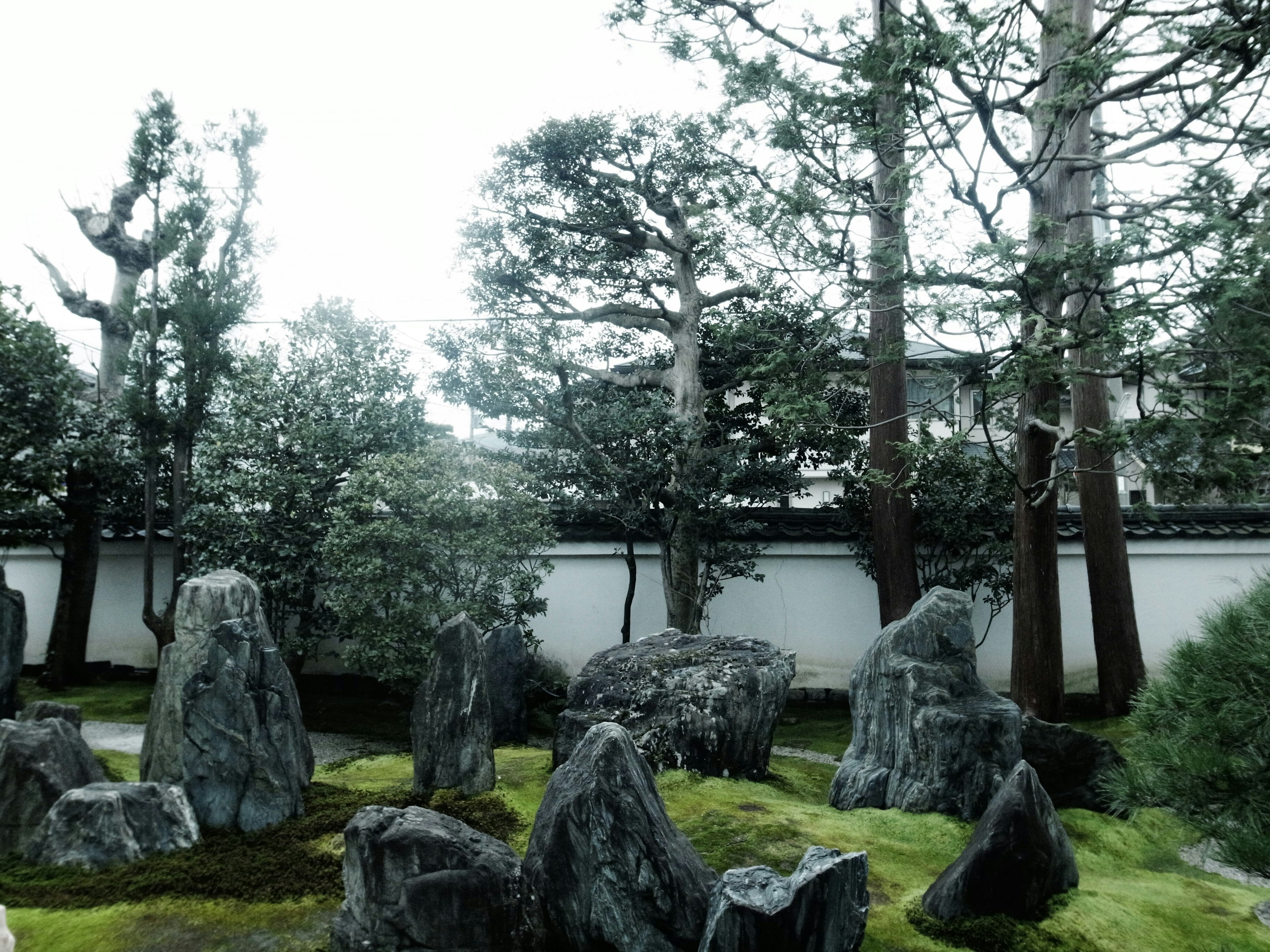 庭園の石と木々が特徴的な風景