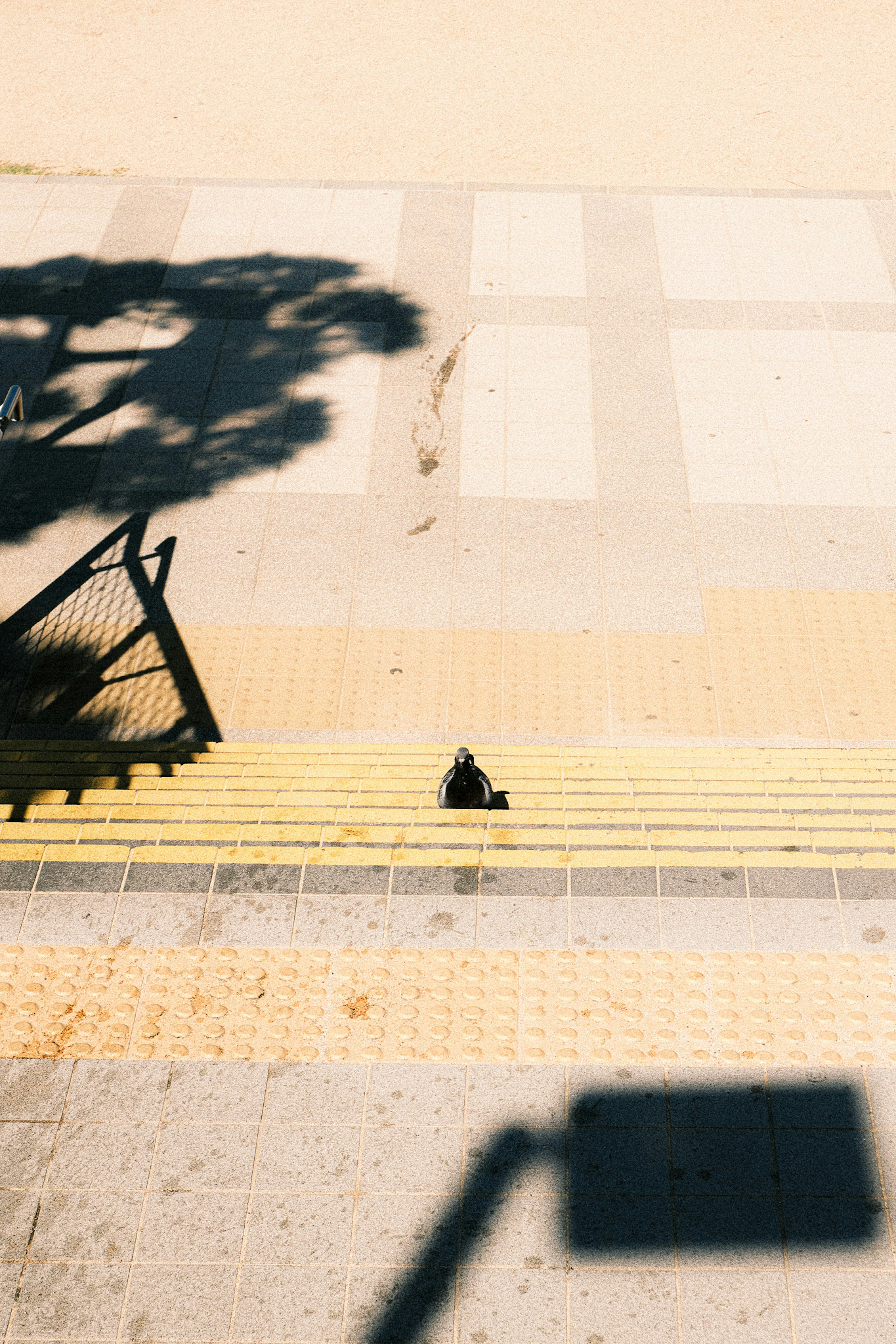 Un petit objet noir sur des escaliers jaunes avec l'ombre d'un arbre