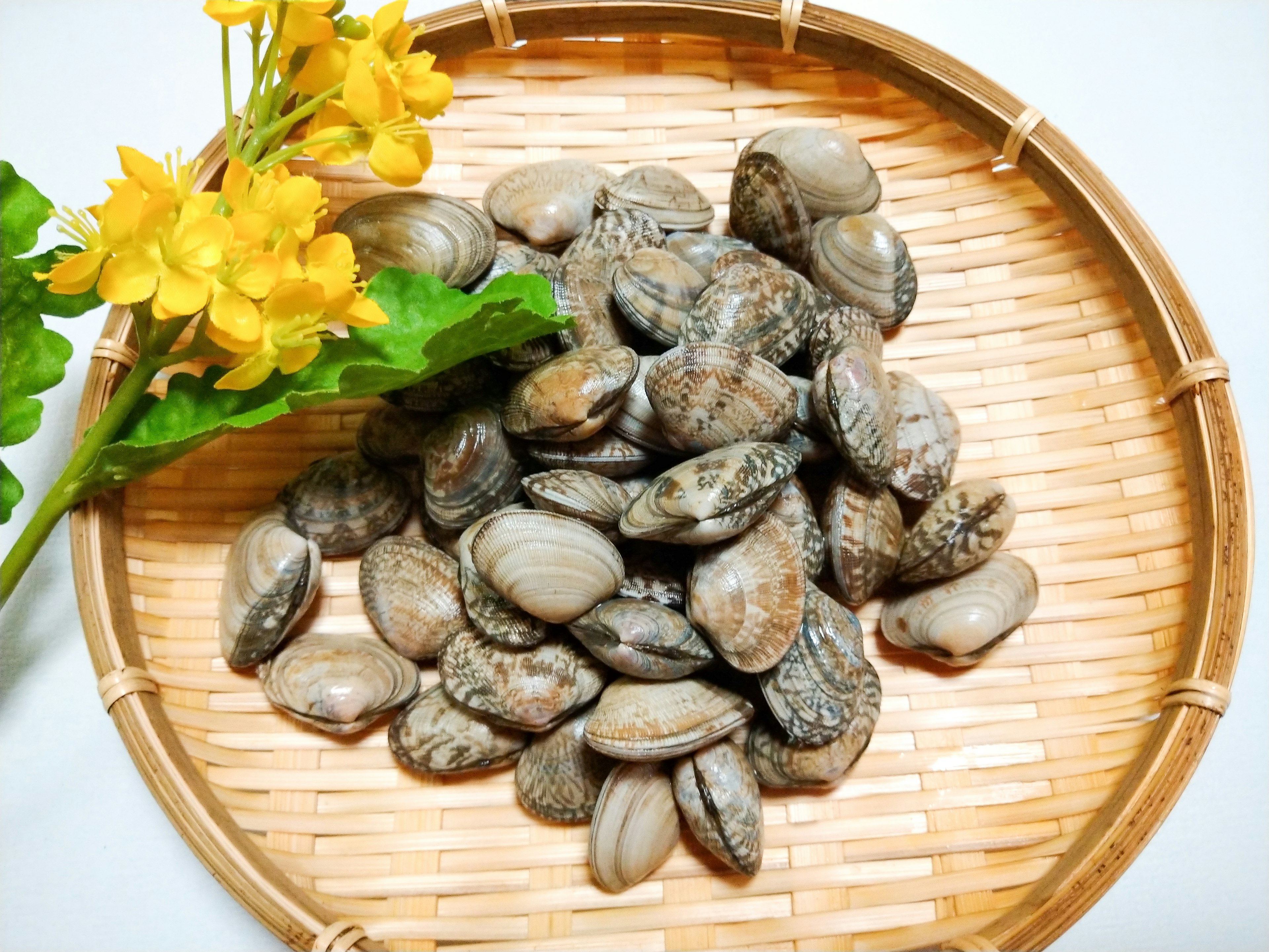 Muscheln in einem Bambuskorb mit gelben Blumen angeordnet