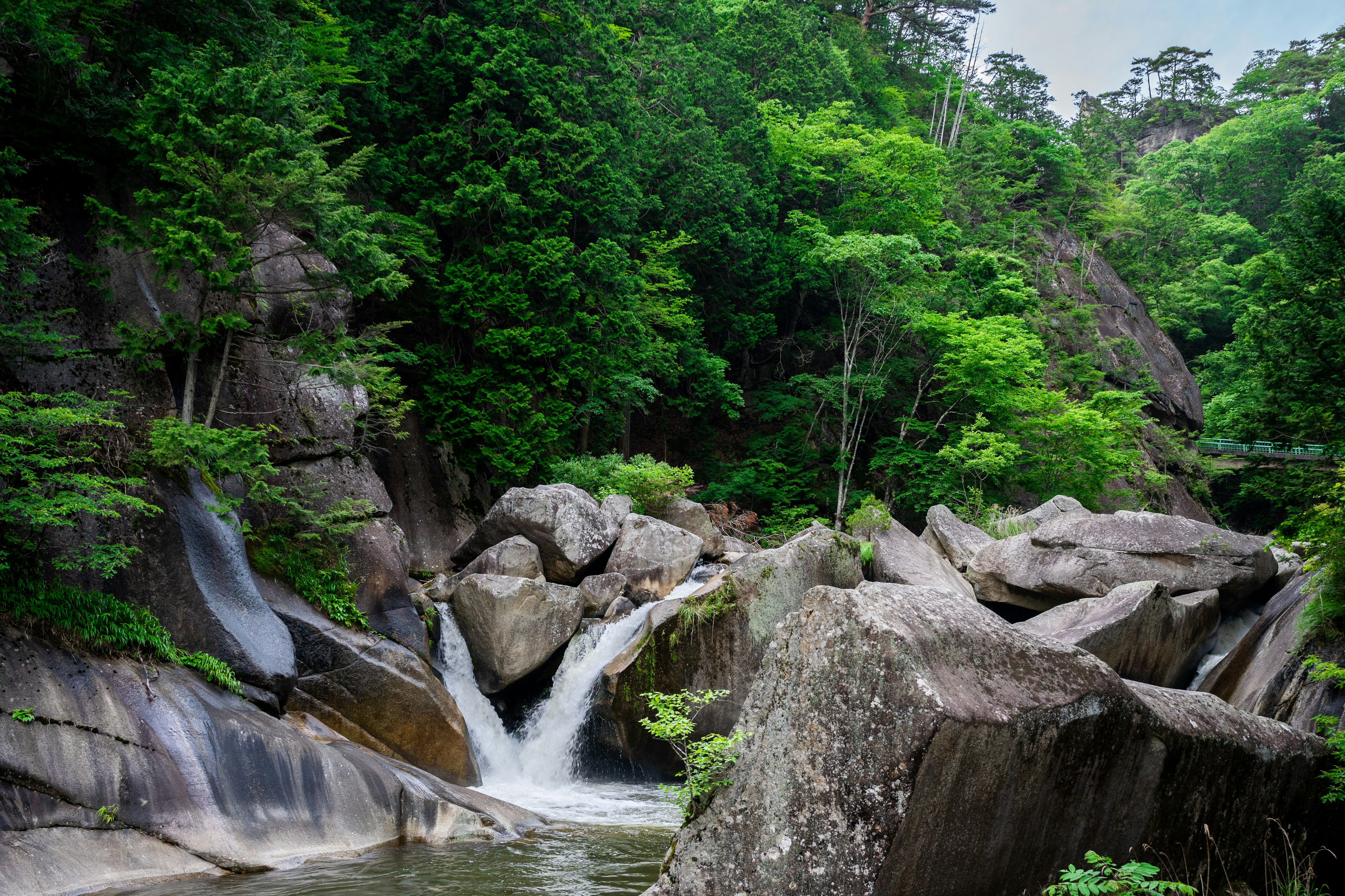 Lush green forest with waterfalls large rocks framing the water flow