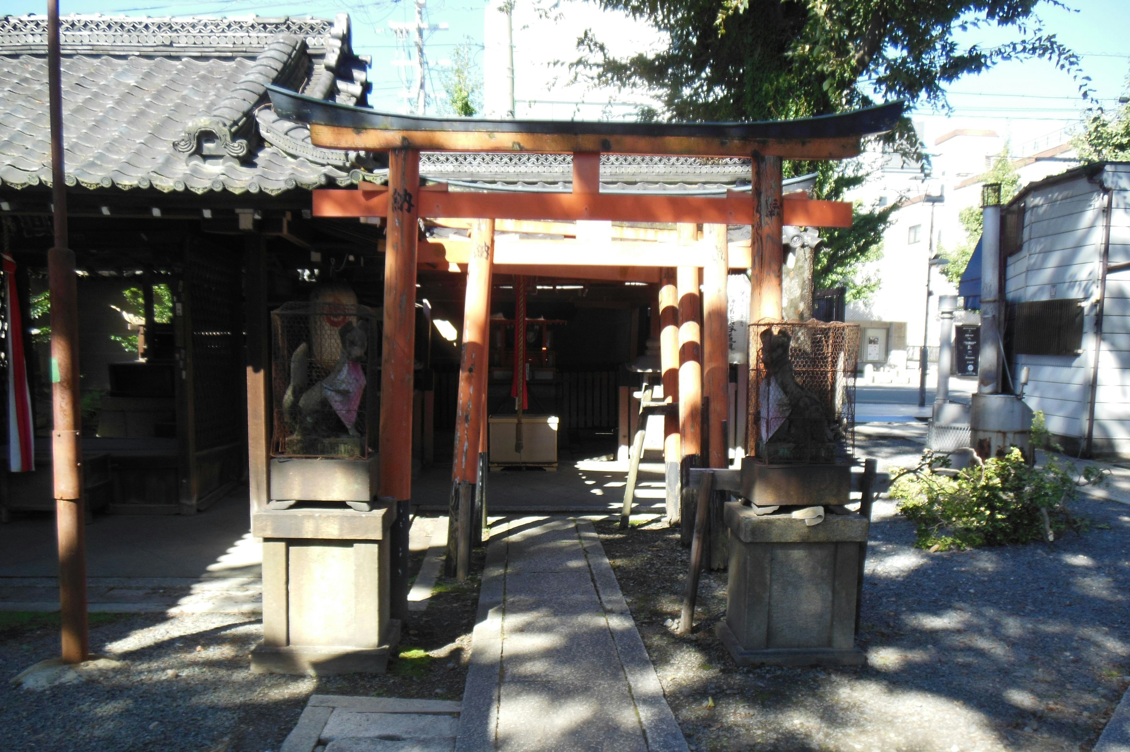 赤い鳥居が見える神社の入口周辺の風景