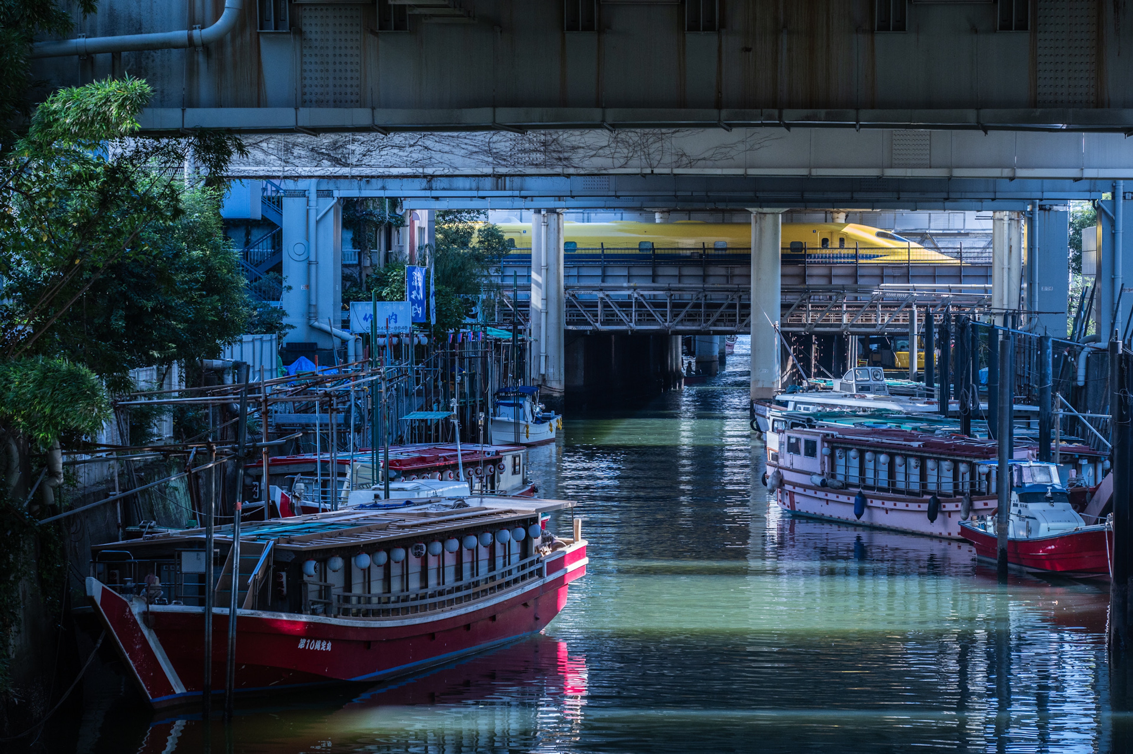 เรือแดงจอดอยู่ในคลองมืดที่มีพืชพรรณล้อมรอบ