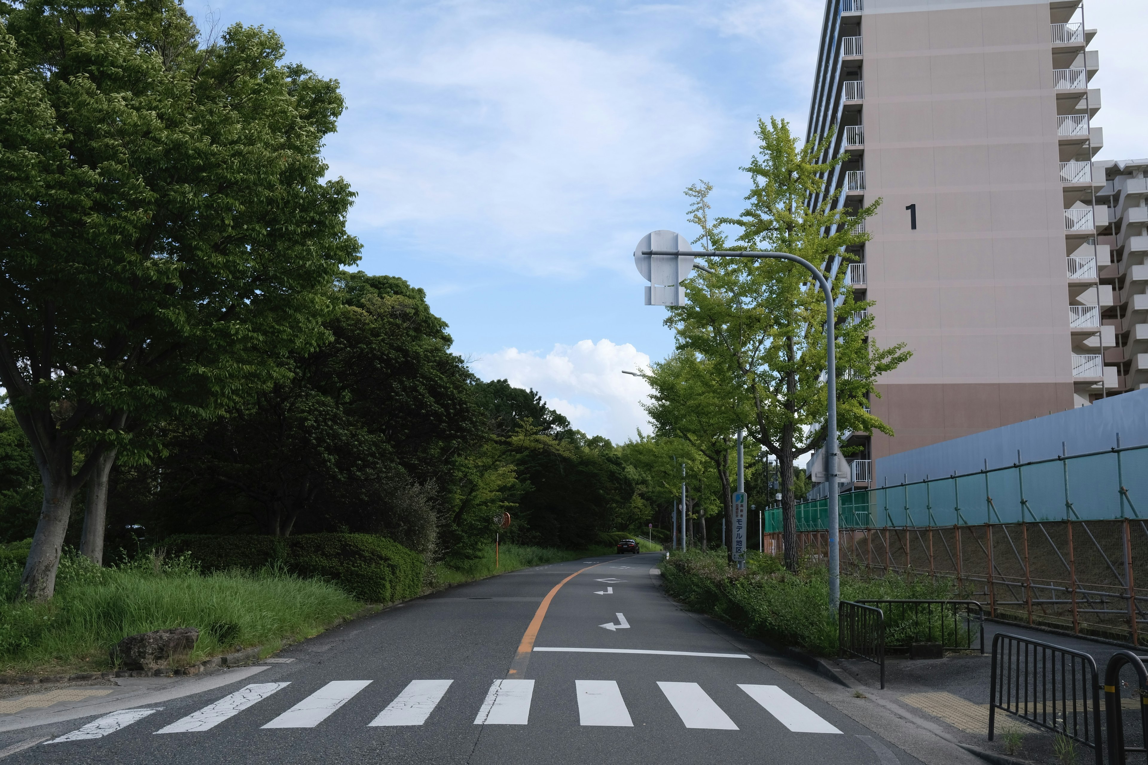 A flat road with crosswalk surrounded by green trees and blue sky