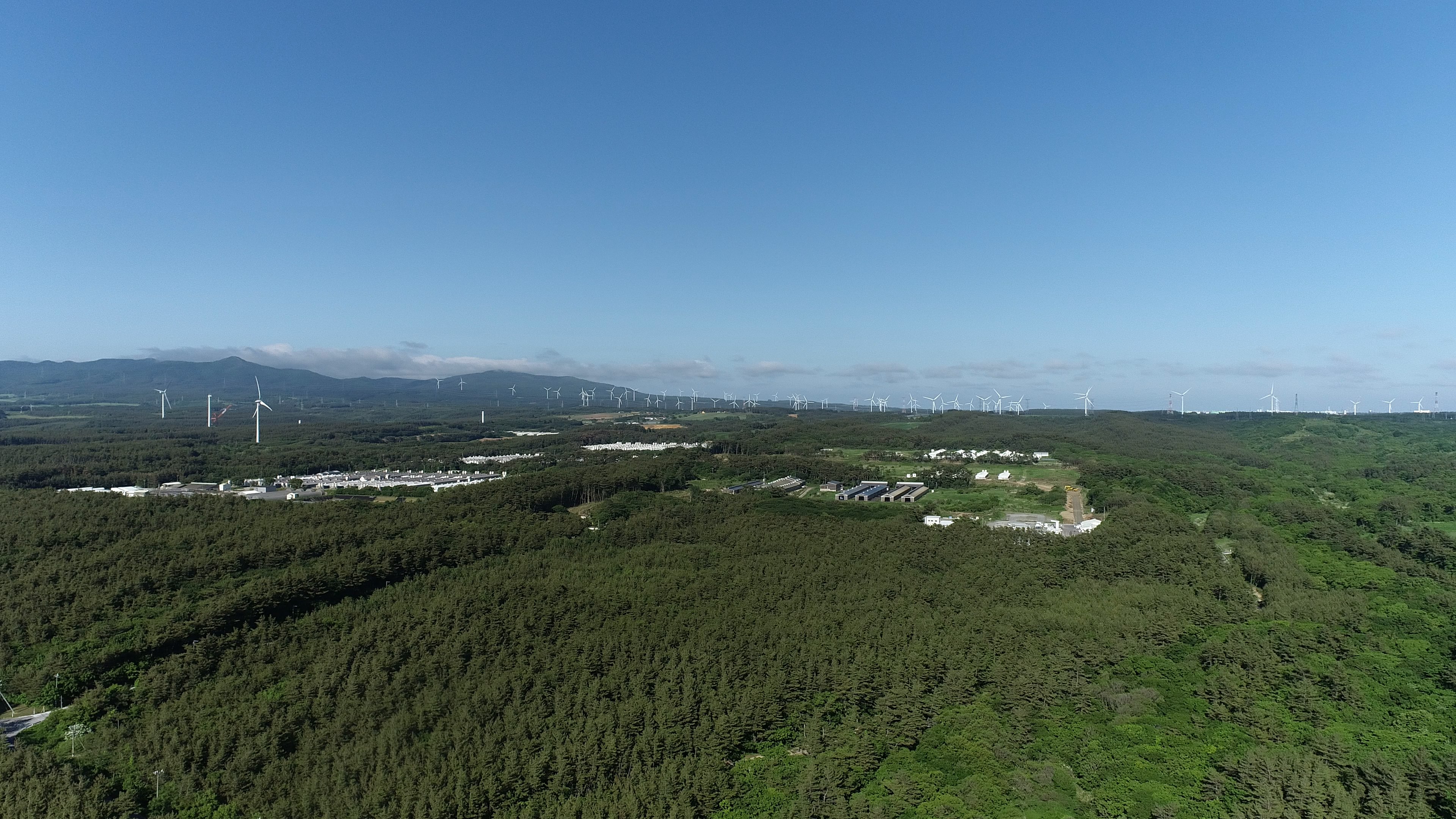 Luftaufnahme, die einen üppigen grünen Wald und ein Industriegebiet zeigt