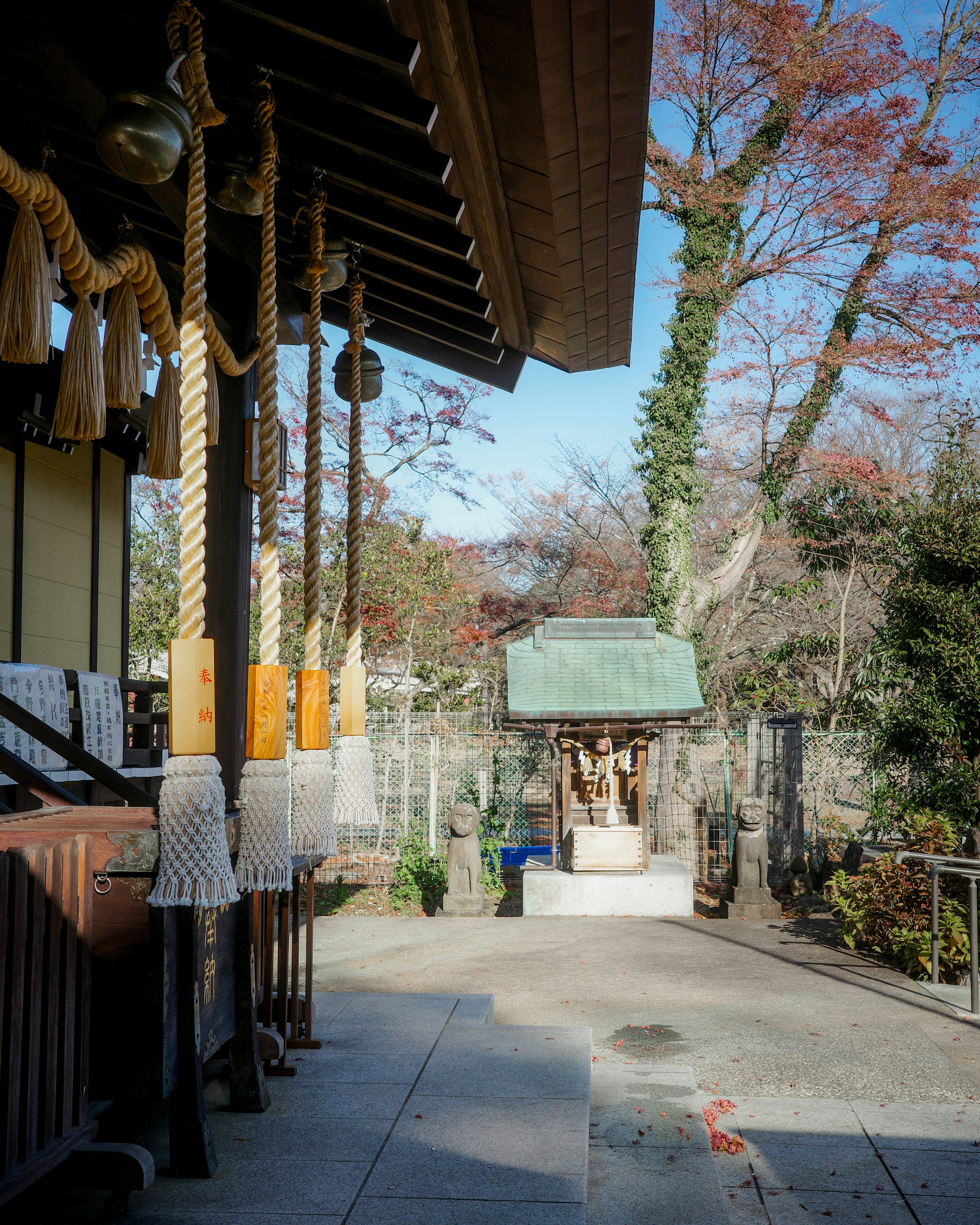 神社の境内にある参道と小さな祠 鮮やかな紅葉の木々が背景に見える