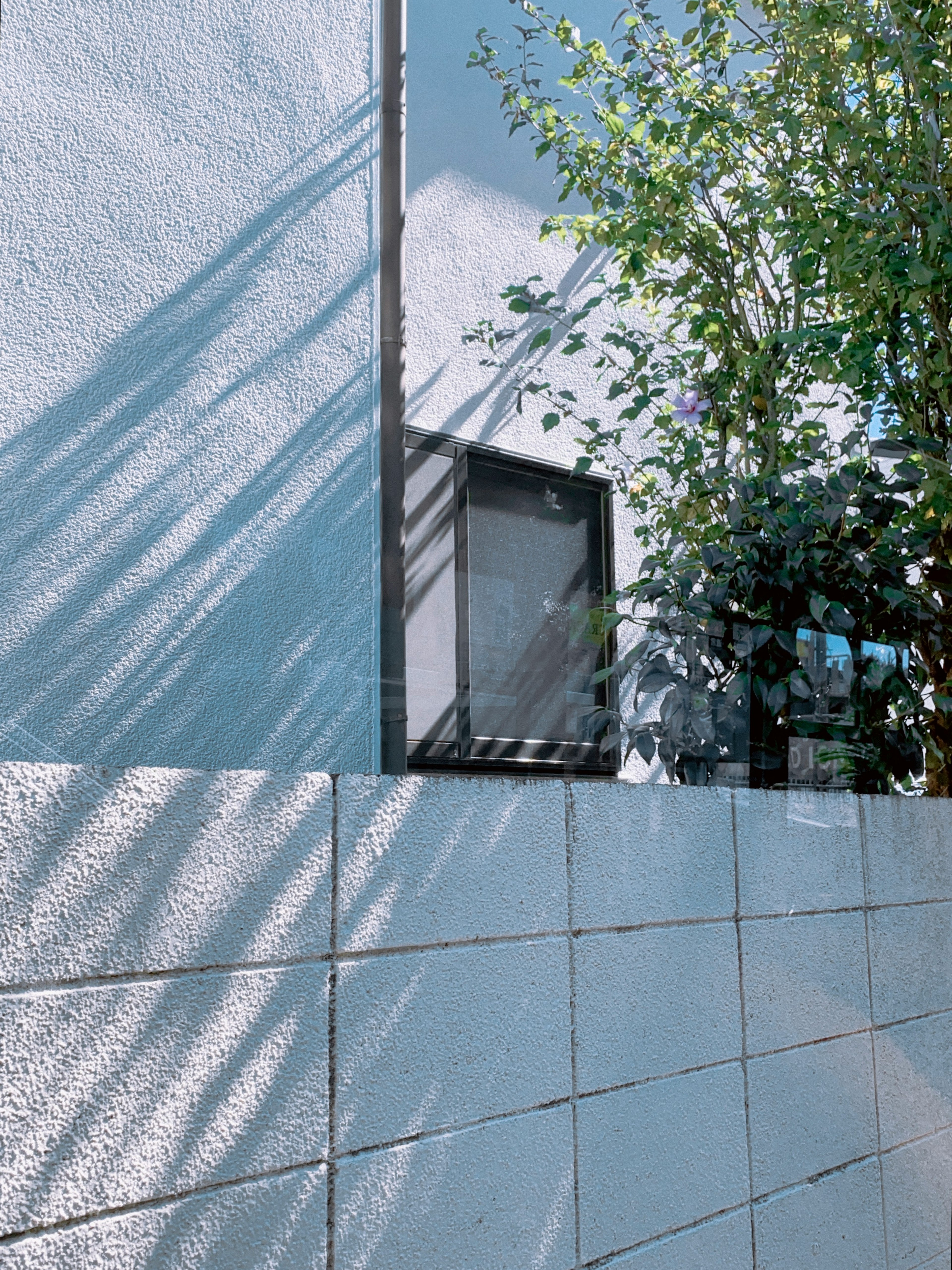 Blauer Wand mit sichtbaren Baumschatten draußen