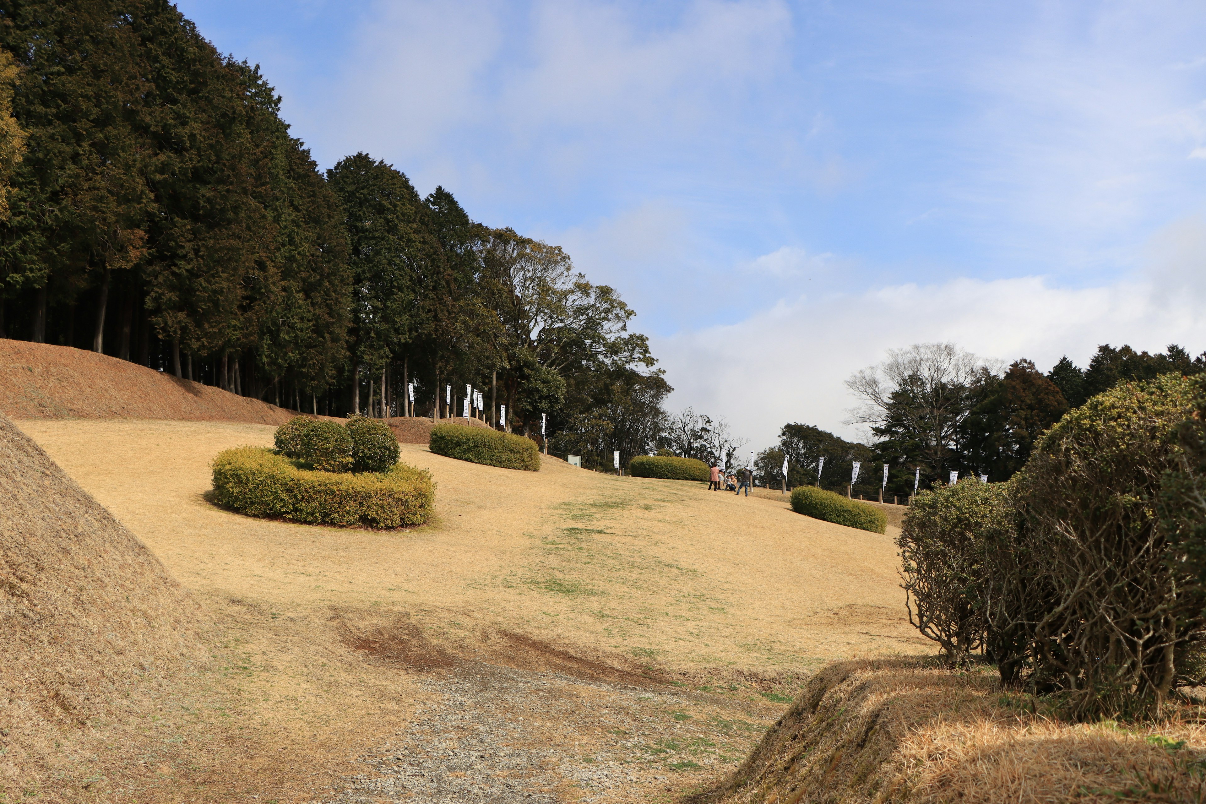 広い草地と木々がある風景の写真