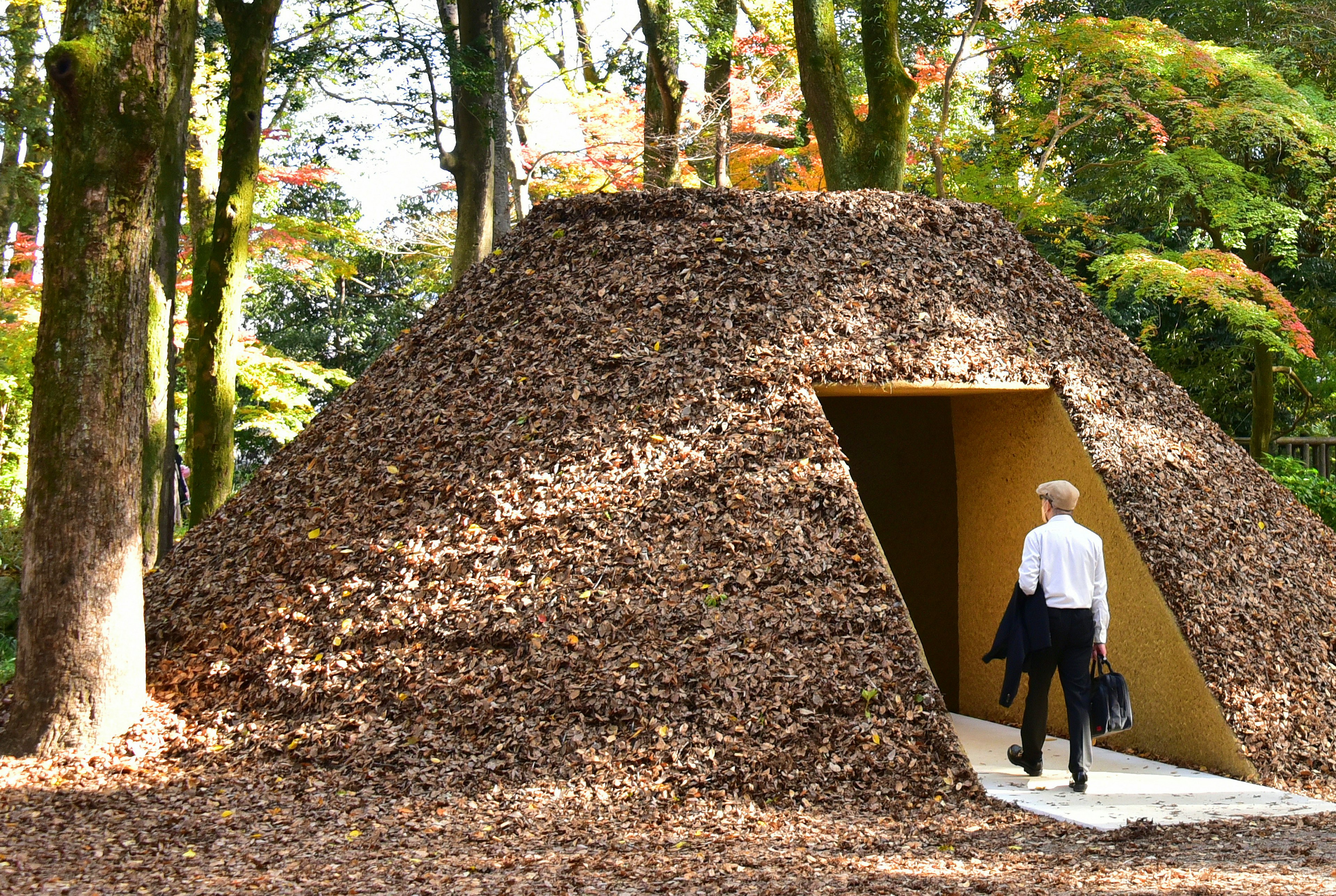 Person walking into a leaf-covered hut in a forest