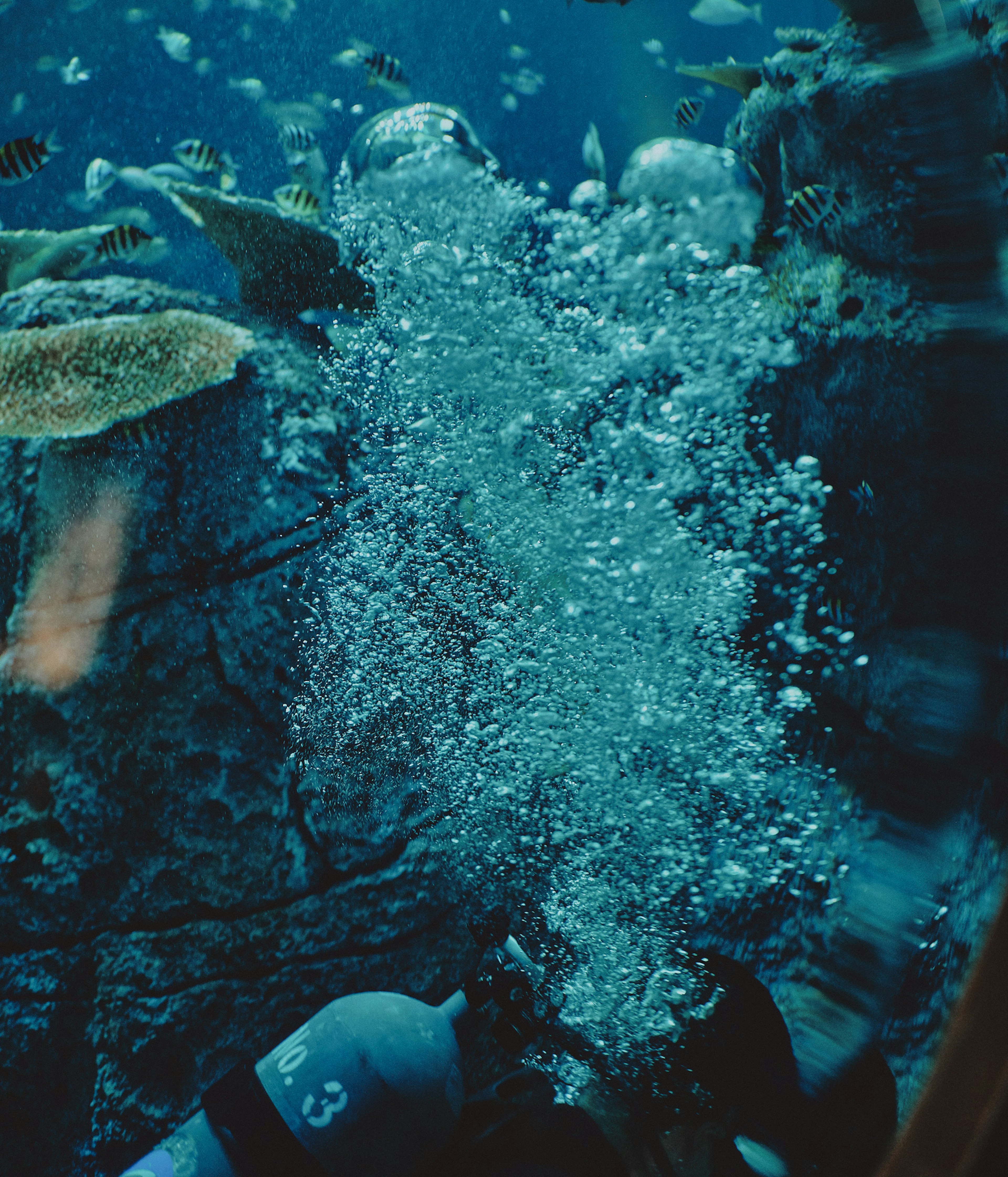 Underwater scene with bubbles rising and fish swimming in the background