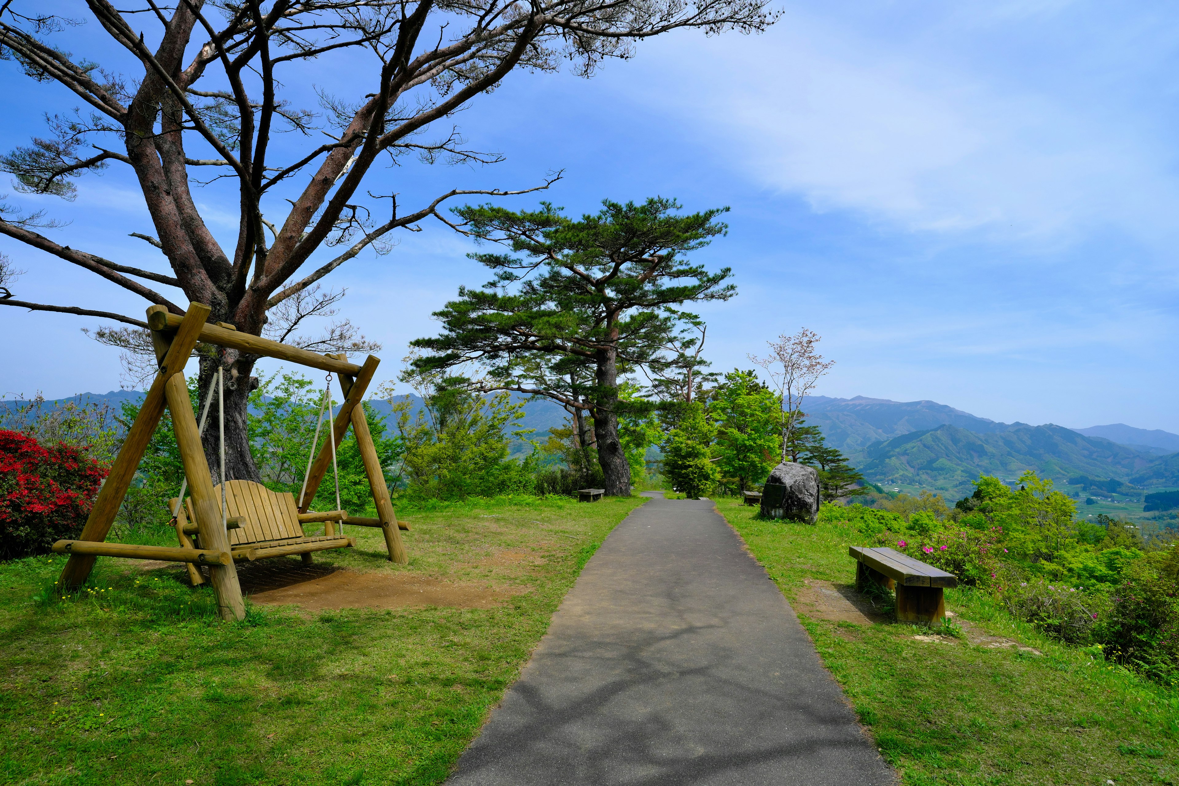 Scenic view with a pathway and a swing surrounded by greenery