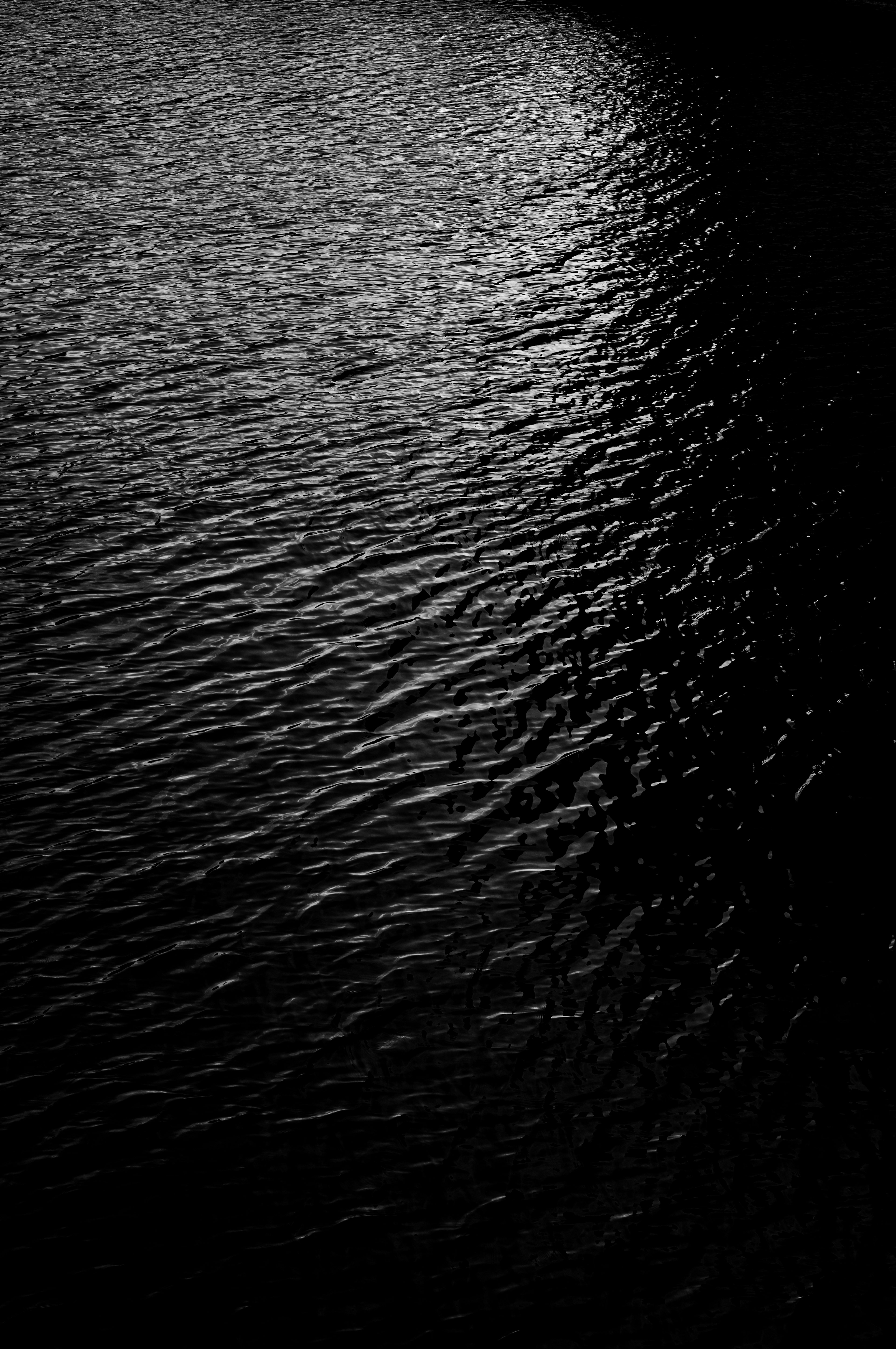 Rippling surface of dark water reflecting light