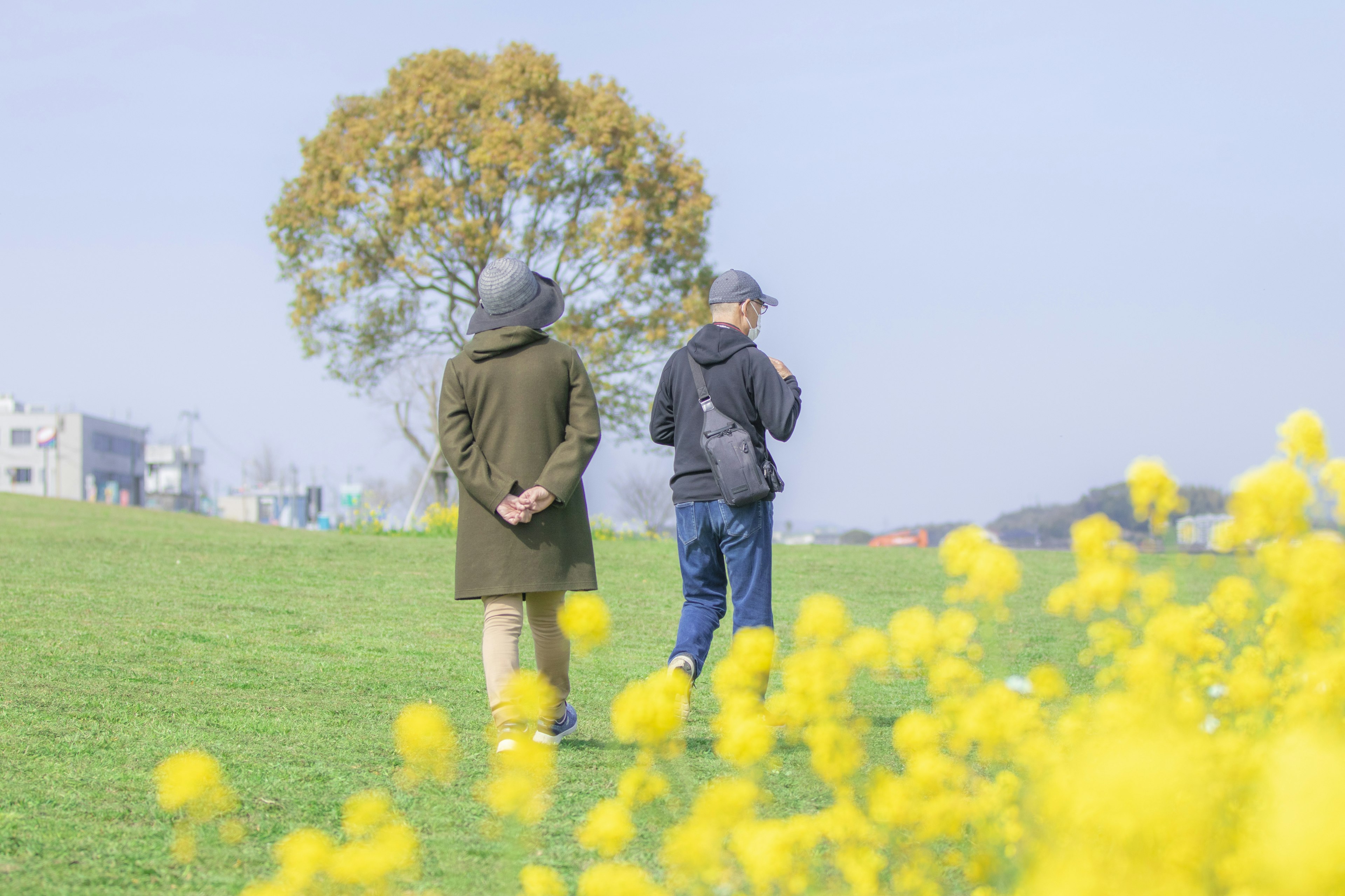 Deux personnes se tenant devant un champ de fleurs