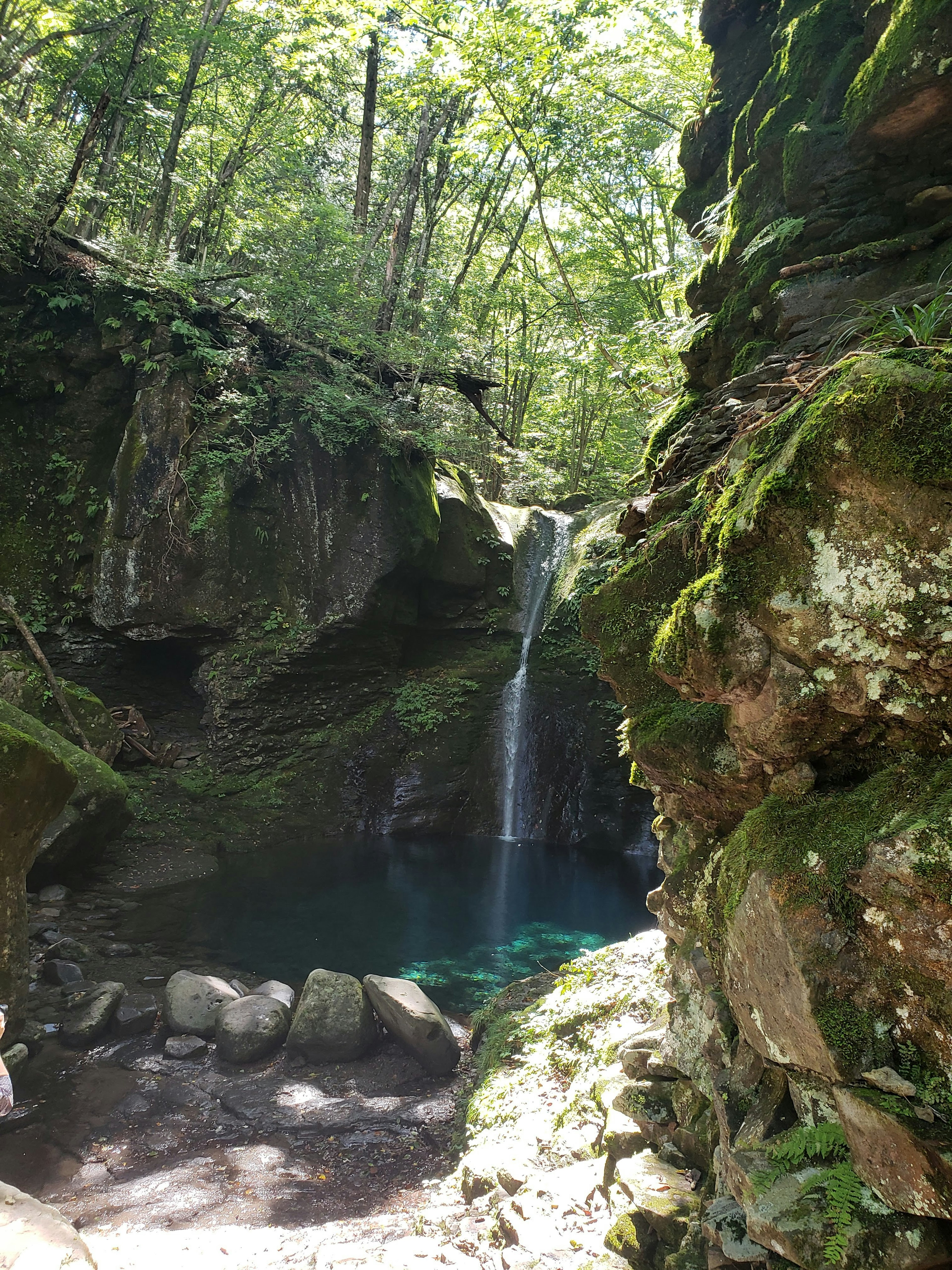 緑に囲まれた滝と青い水の池の自然風景