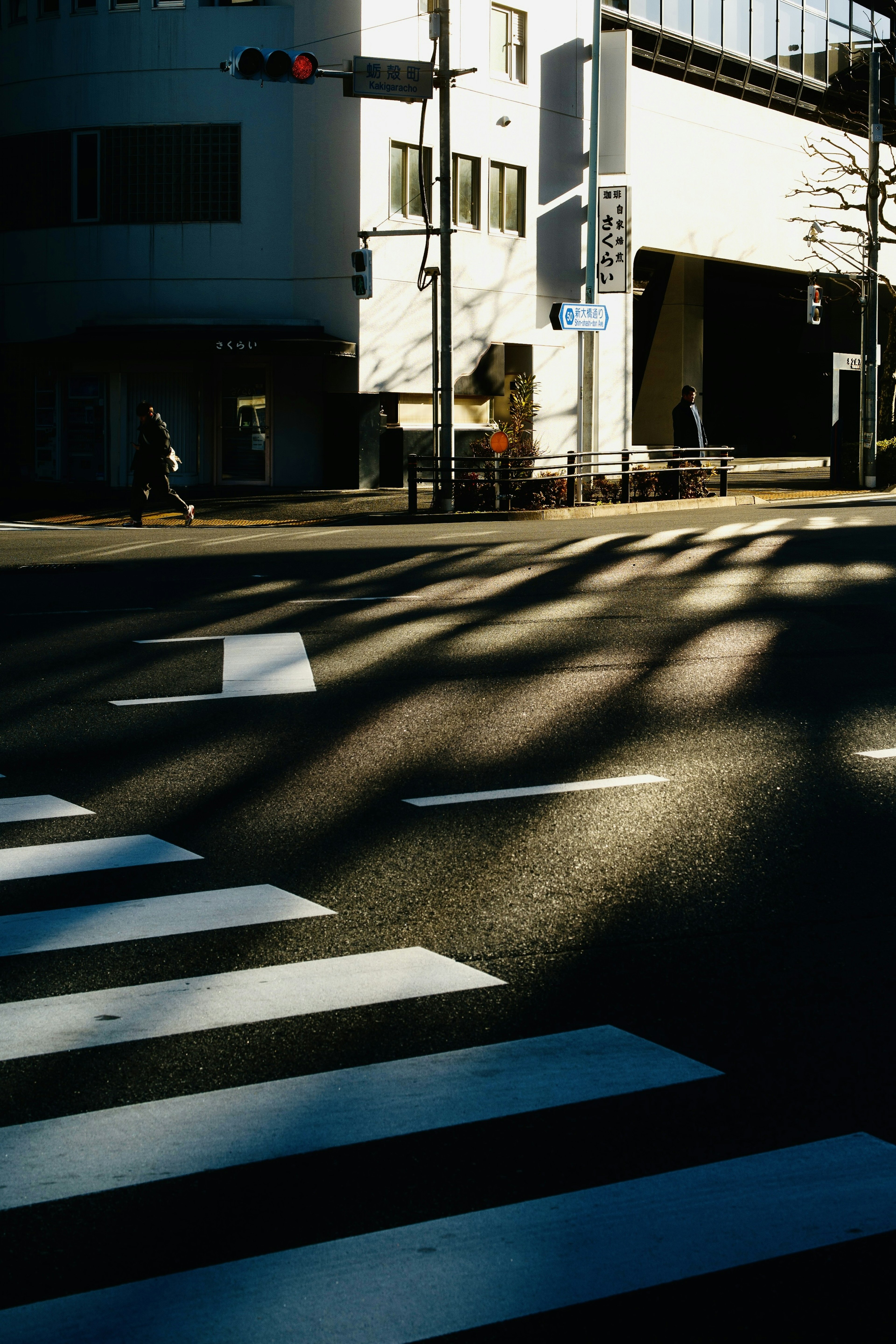 交差点の白い横断歩道と影が映る街の風景