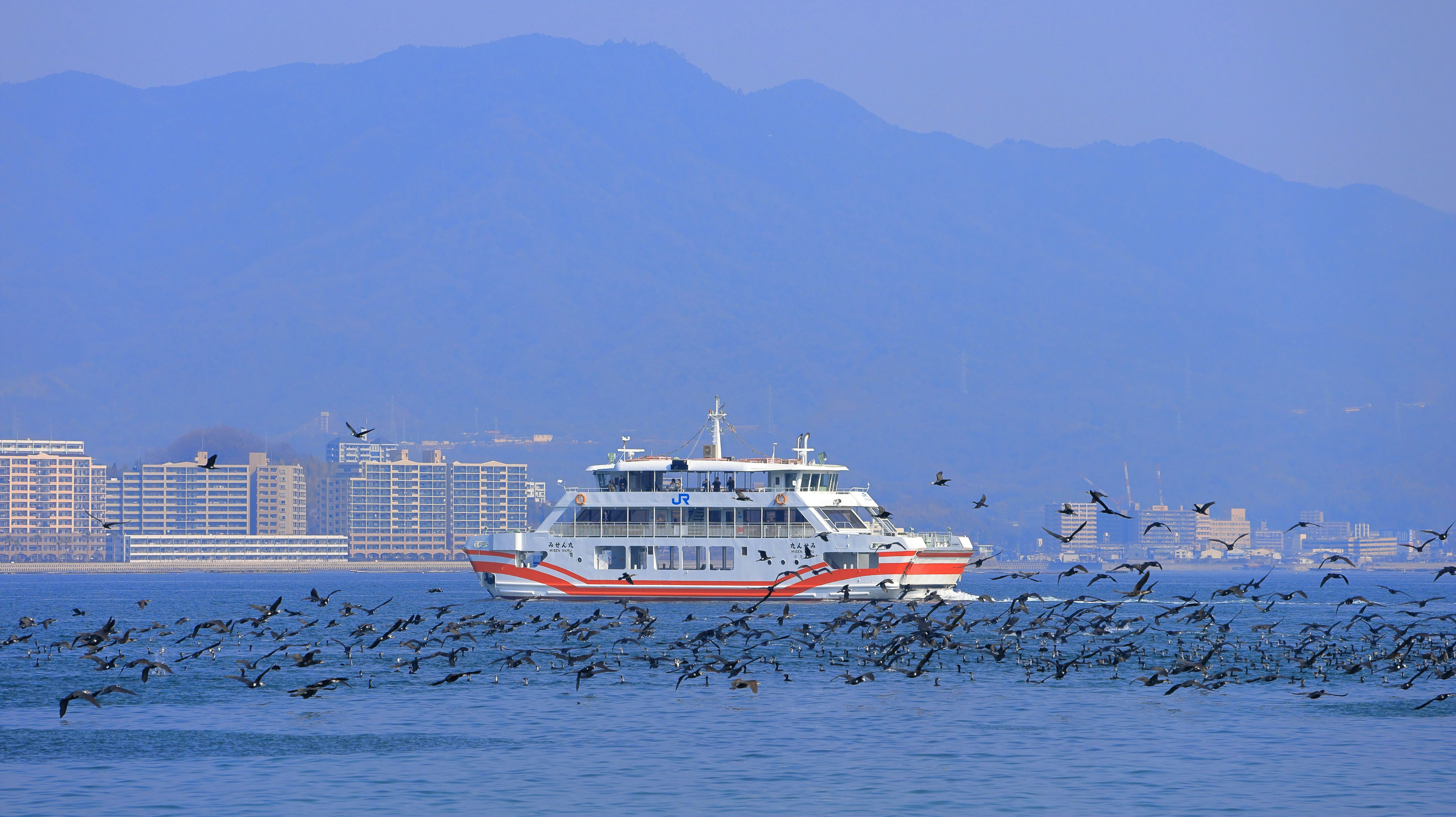 青い海を渡る白いフェリーと群れを成して飛ぶ鳥たち