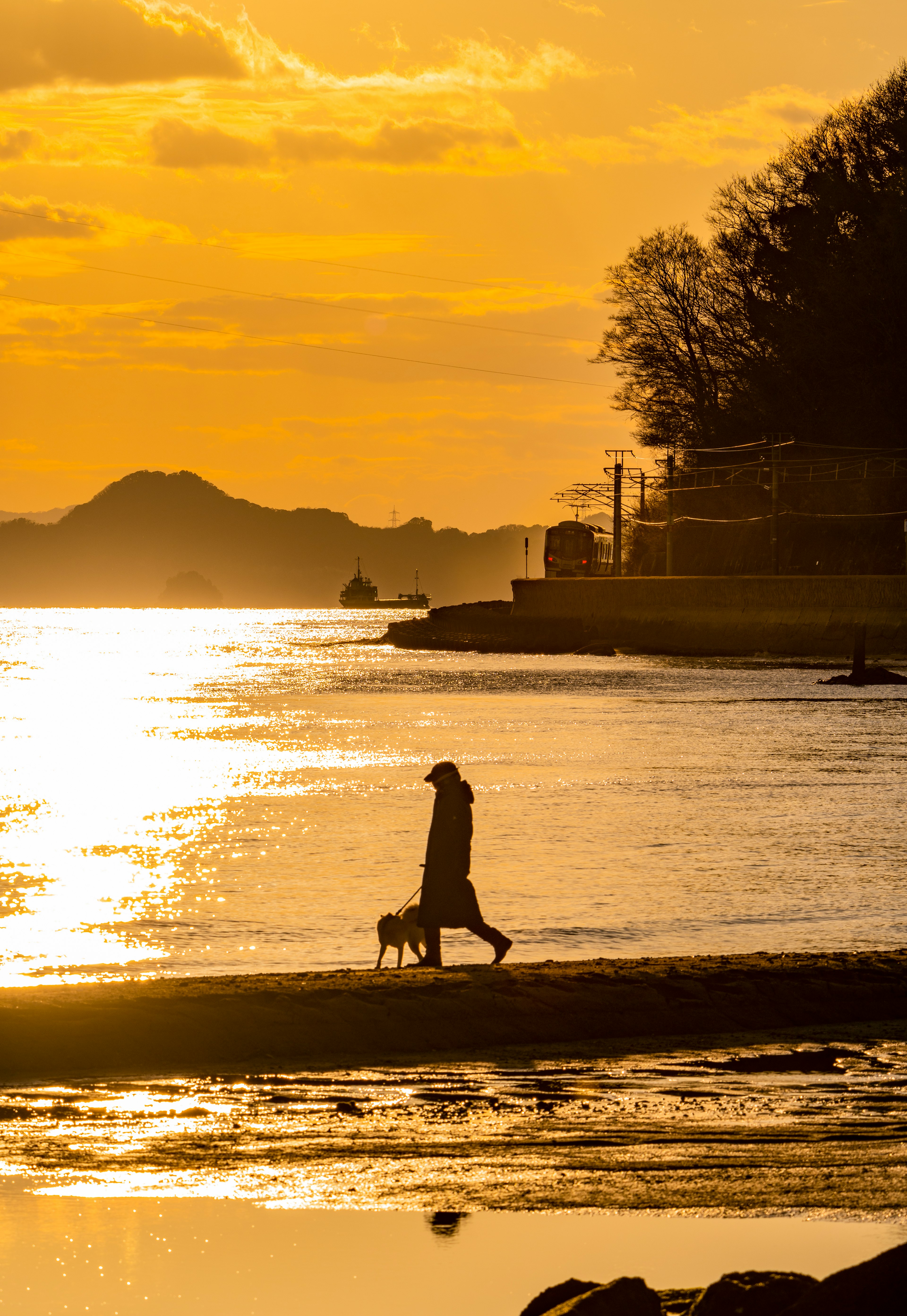 夕日を背景に犬を連れて散歩する人