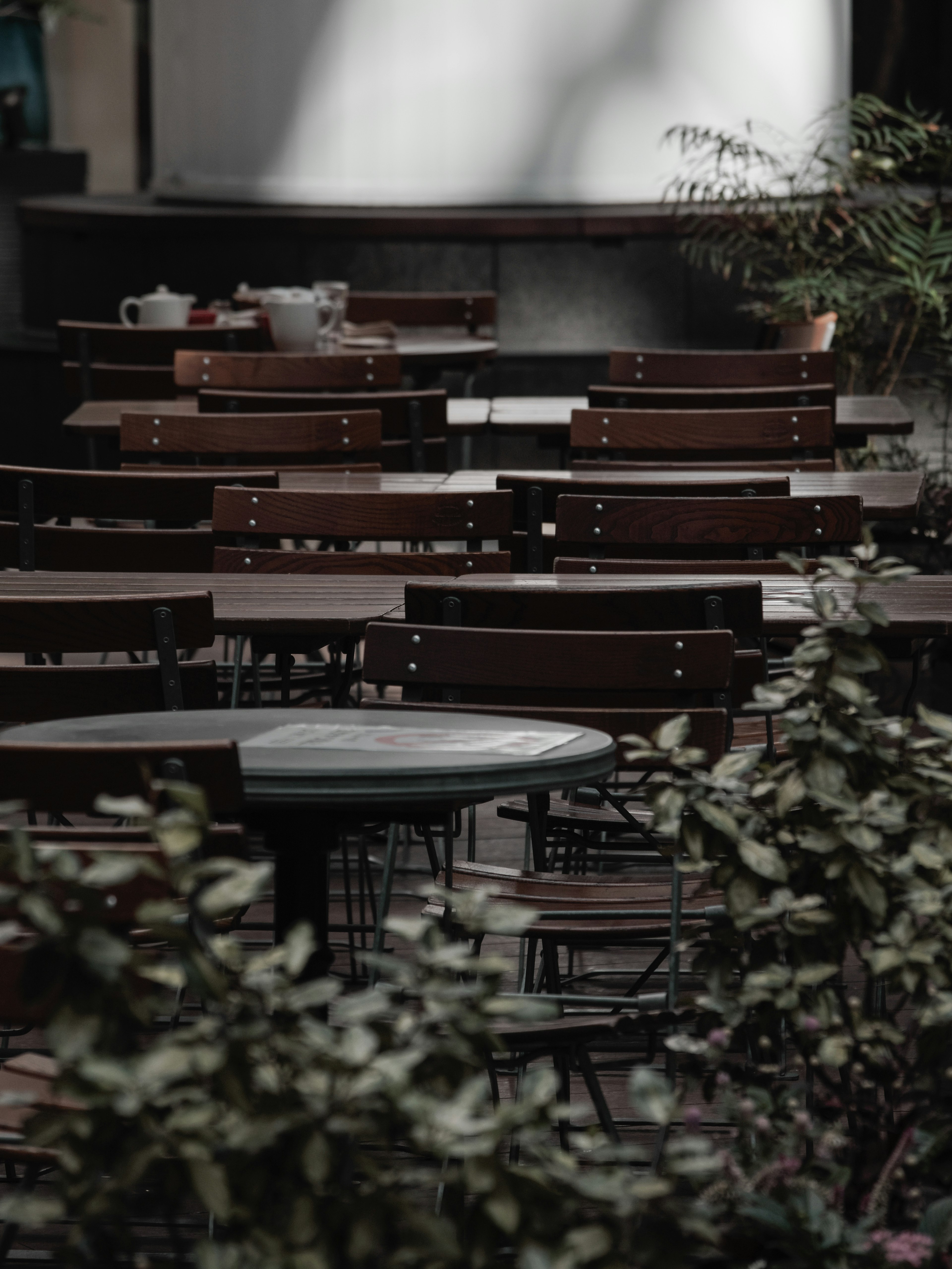 Área de café al aire libre con sillas y mesas de madera rodeadas de plantas verdes