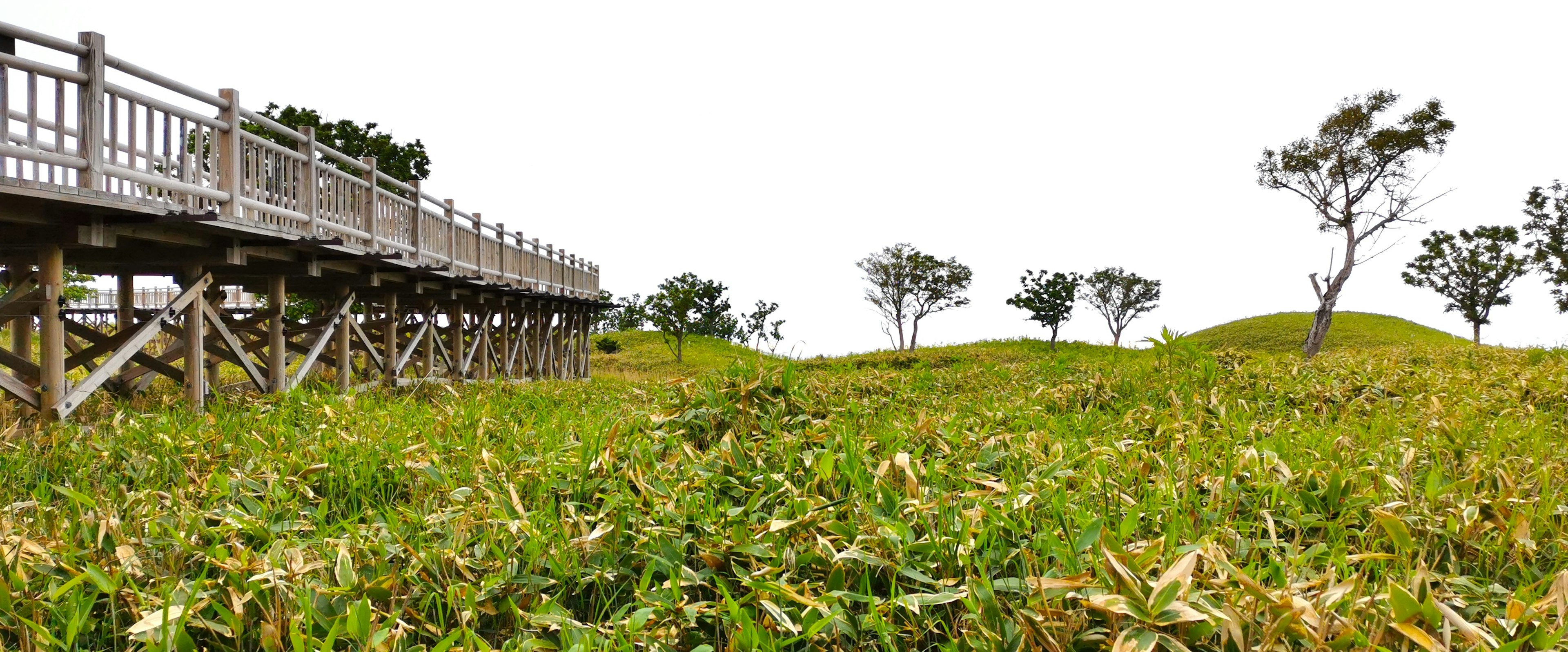 木製の橋と緑の草原が広がる風景