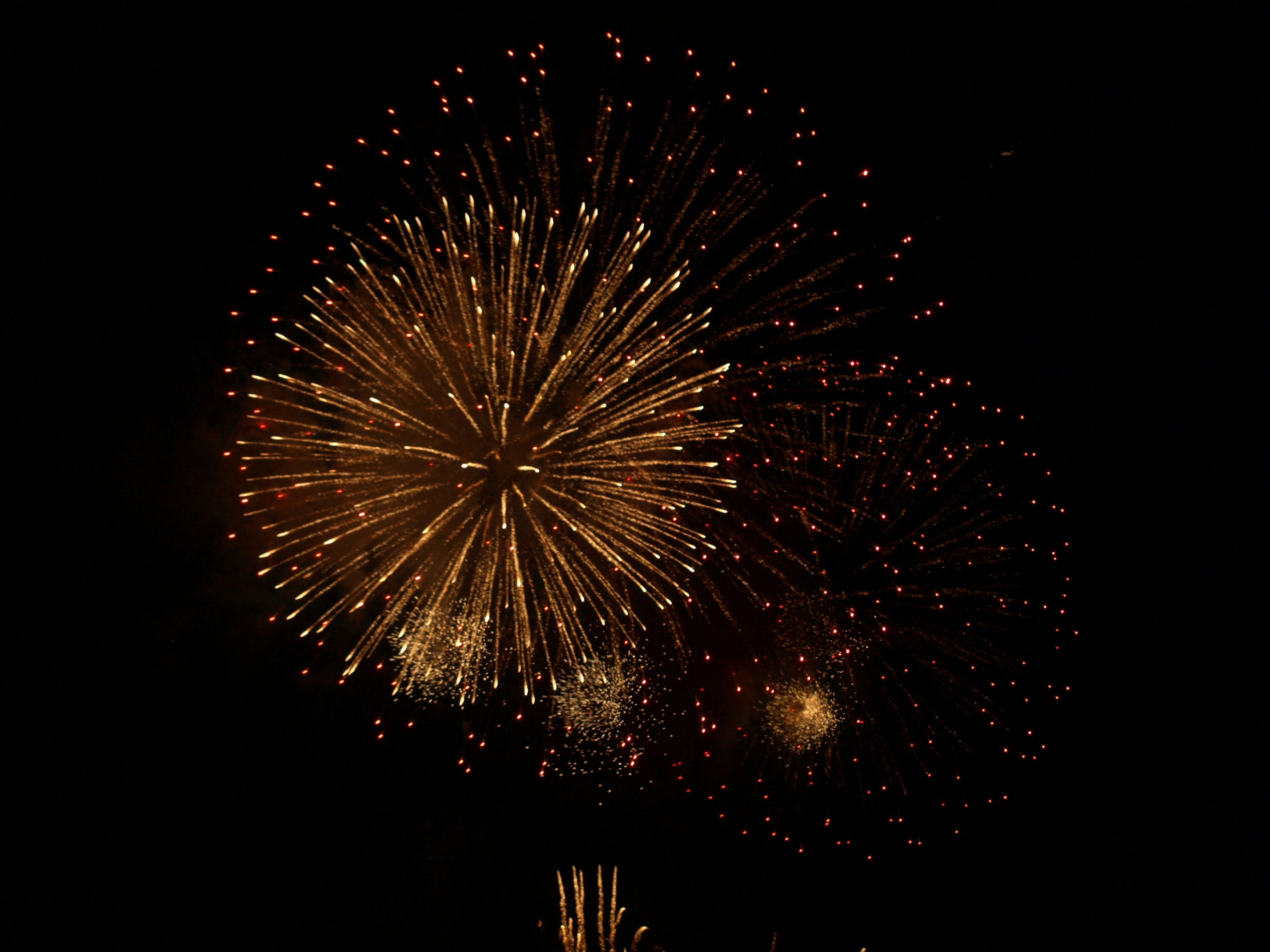 Golden fireworks bursting in the night sky