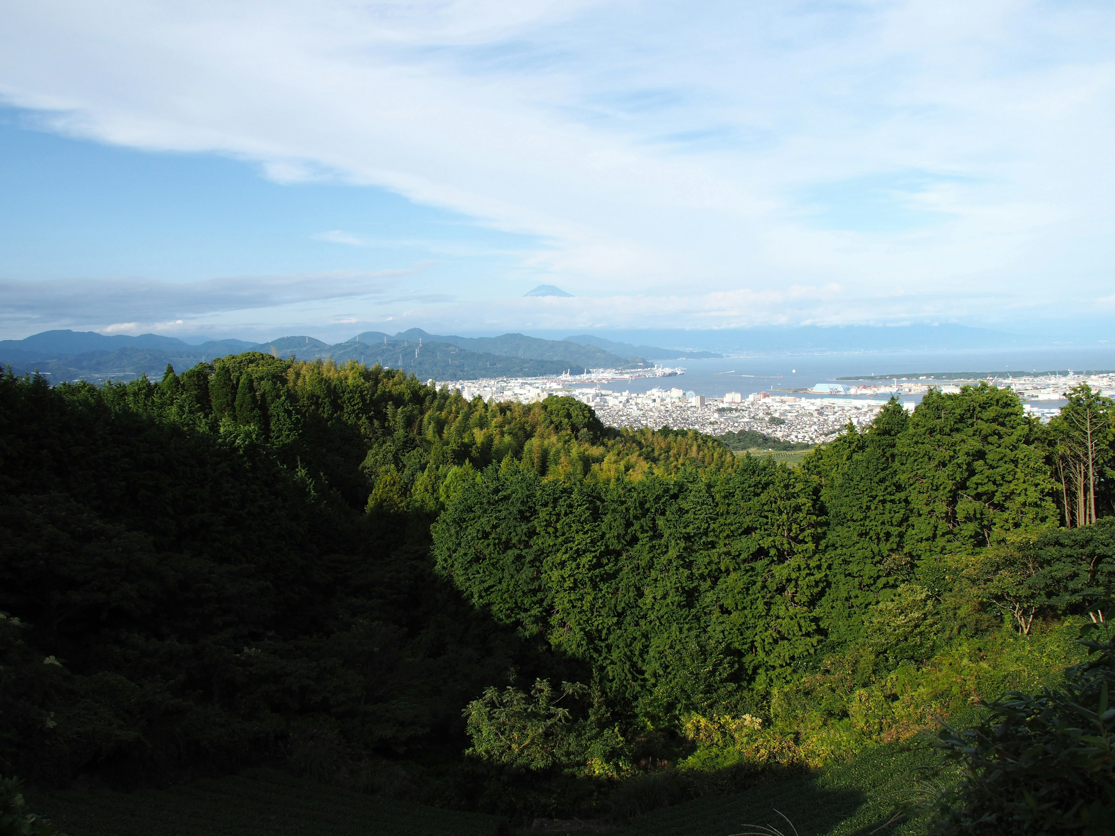 Lush green mountains and trees under a blue sky